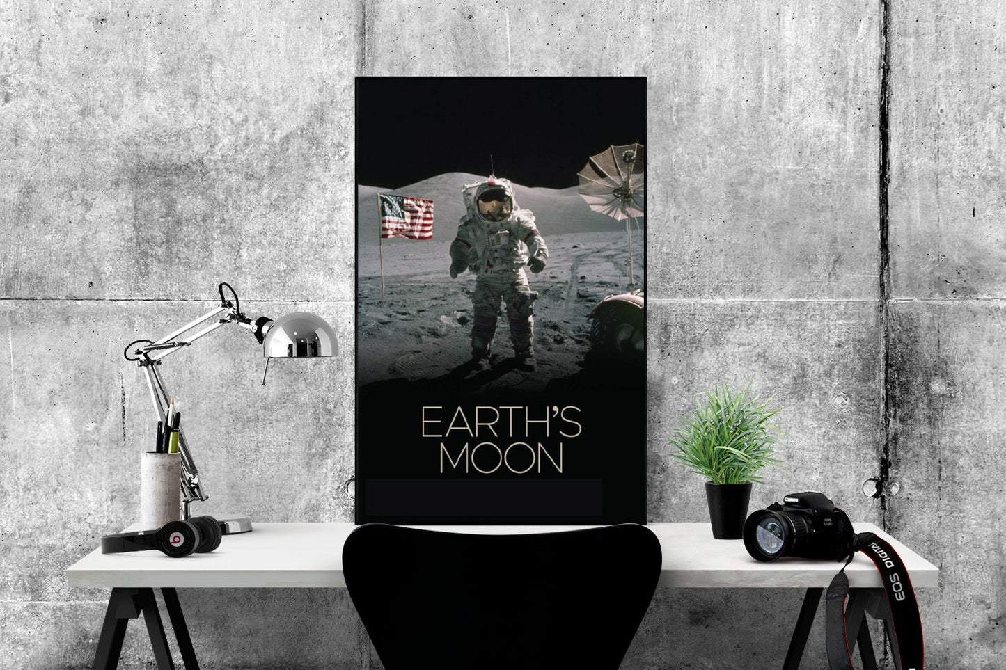 Earth's Moon | NASA JPL | Buzz Aldrin on the Surface of the Moon | Lunar Art Print | Surface of the Moon | Apollo 11 | Neil Armstrong