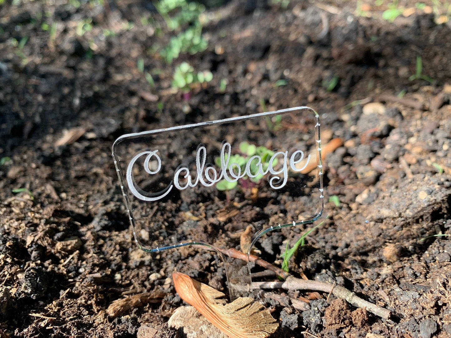 Calligraphy Garden Stakes | Custom Identifying Garden Markers Set | Made of Clear Acrylic