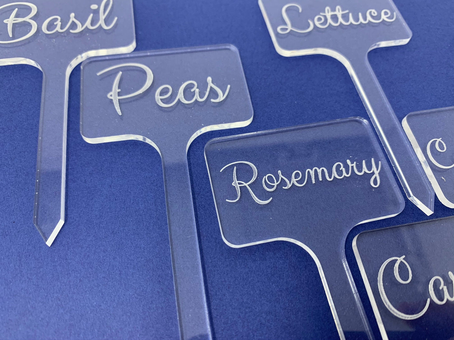 Calligraphy Garden Stakes | Custom Identifying Garden Markers Set | Made of Clear Acrylic