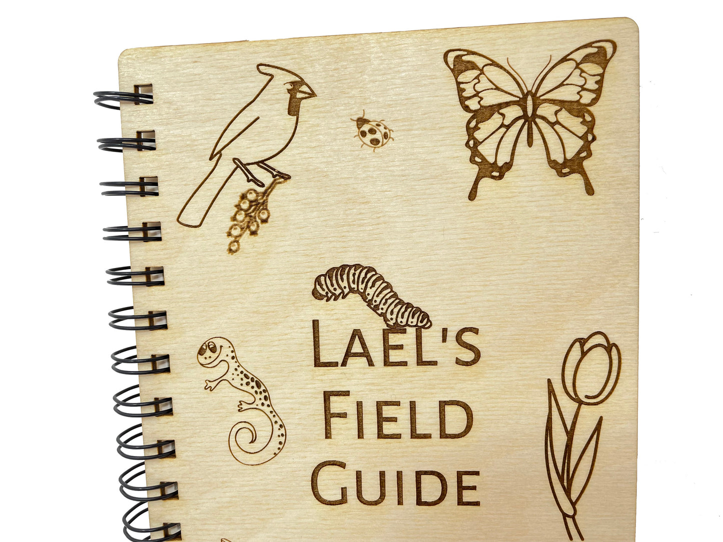 Personalized Field Guide Journal | Study Trees, Mushrooms, Leaves, Animals, Birds and Insects | Drawing Diary