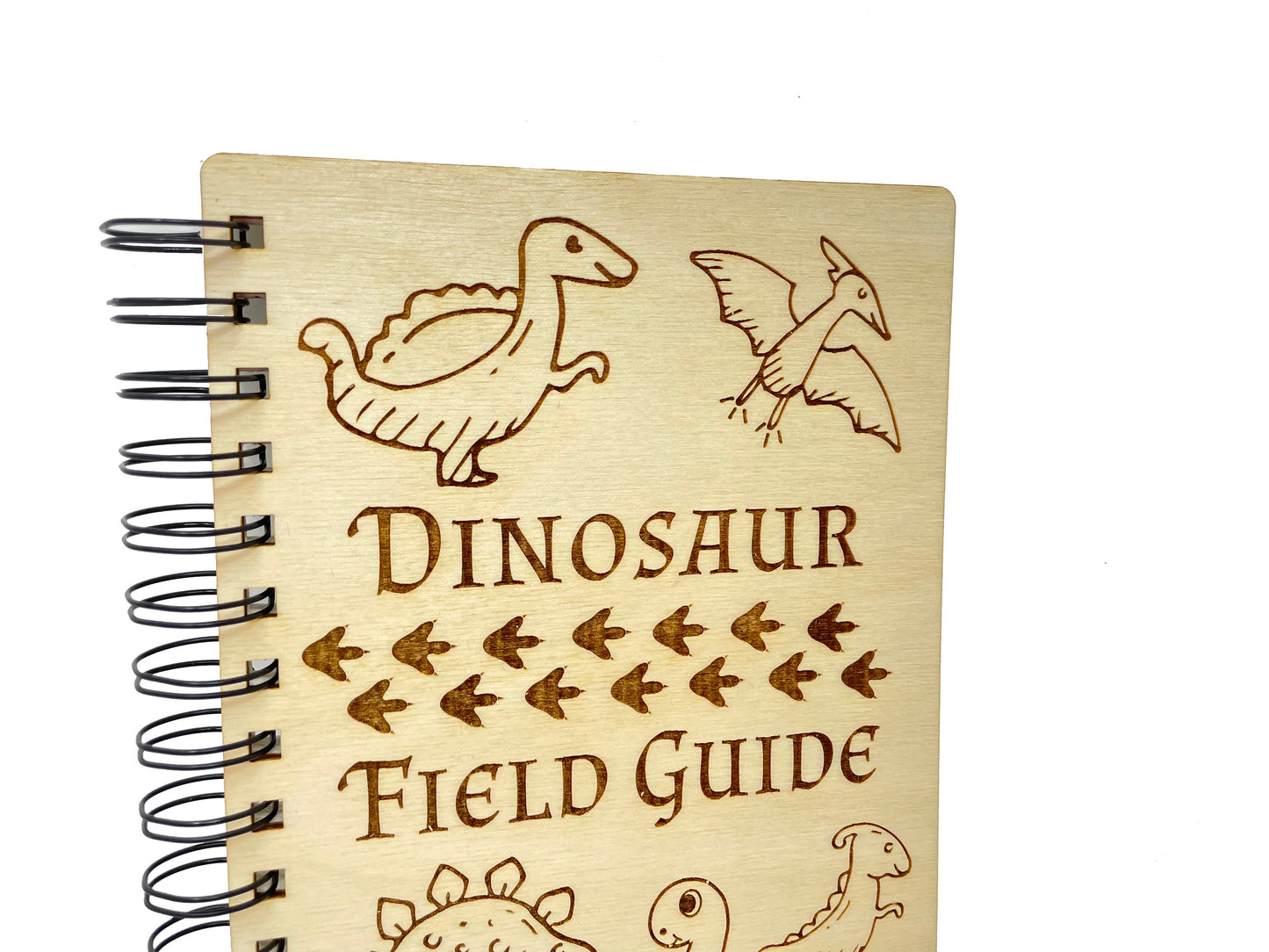 Dinosaur Field Guide Journal | T-Rex, Velociraptor, Brachiosaurus, Spinosaurus, Triceratops, Pterodactyl | Drawing Diary
