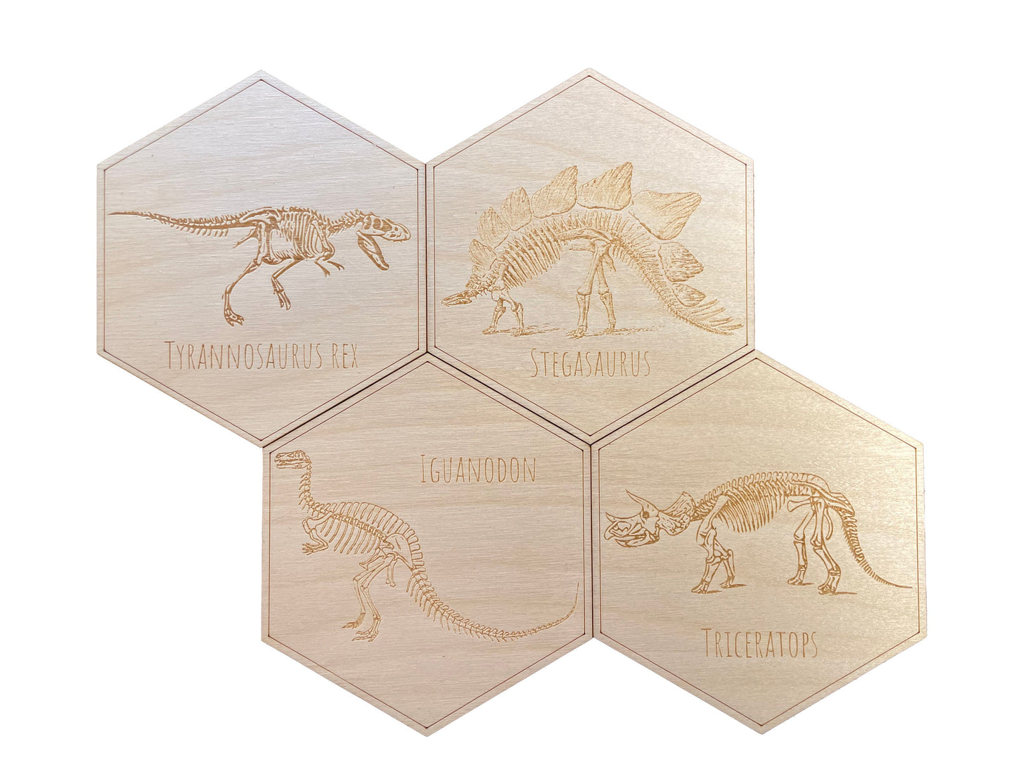 Dinosaur Skeleton Coasters | Tyrannosaurus Rex | Stegosaurus | Triceratops | Iguanodon | Coaster Set