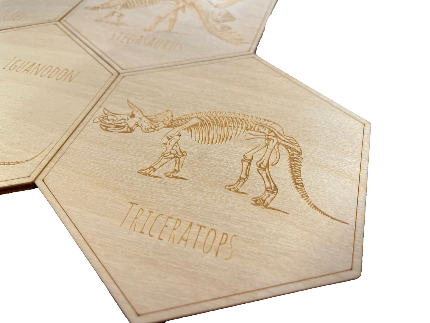 Dinosaur Skeleton Coasters | Tyrannosaurus Rex | Stegosaurus | Triceratops | Iguanodon | Coaster Set