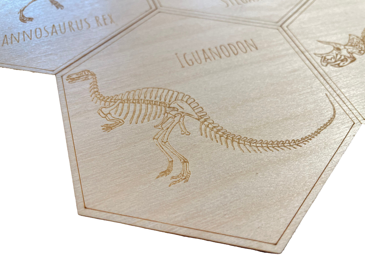 Dinosaur Skeleton Coasters | Tyrannosaurus Rex | Stegosaurus | Triceratops | Iguanodon | Coaster Set