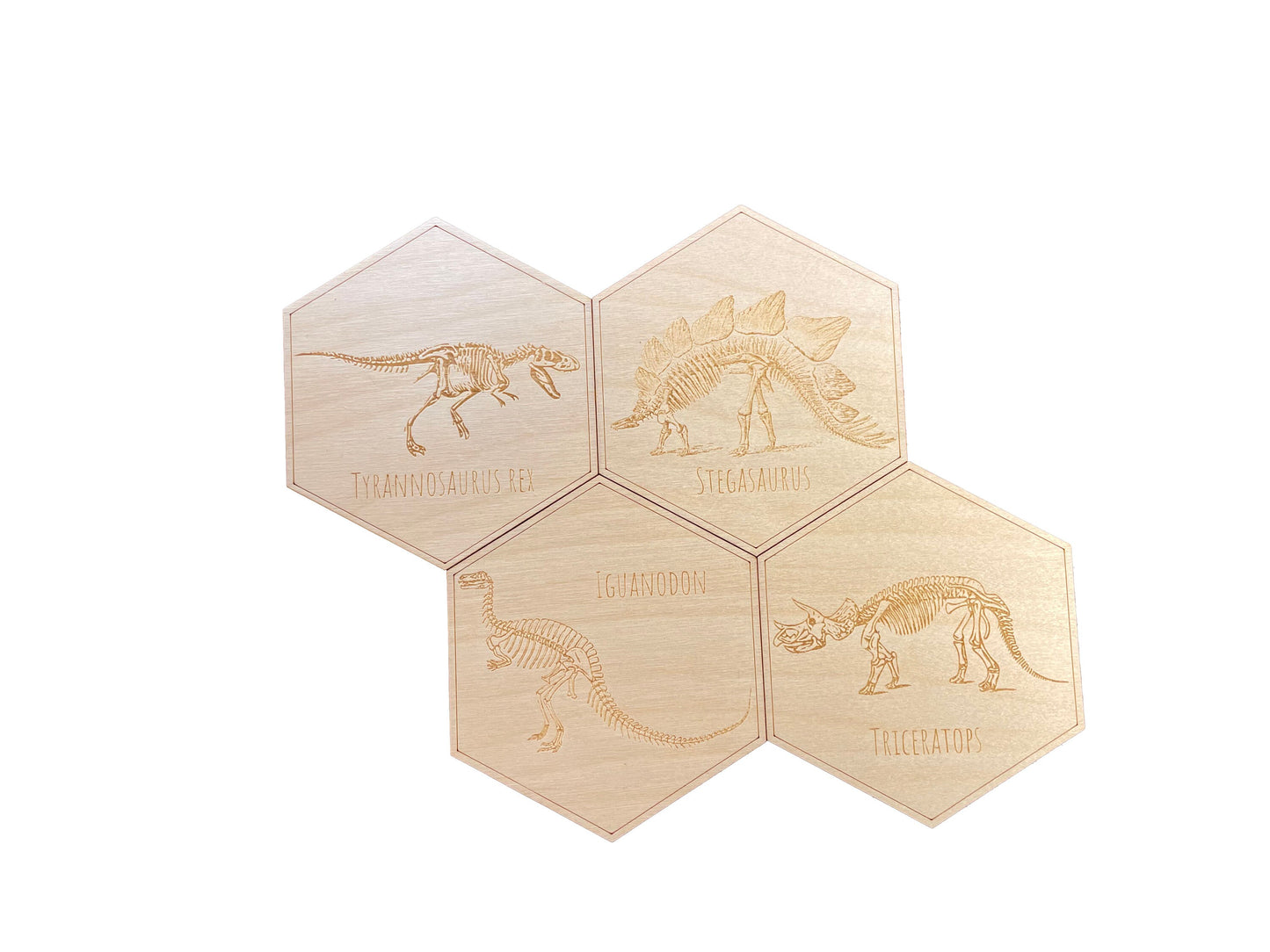 Dinosaur Skeleton Coasters | Tyrannosaurus Rex | Stegosaurus | Triceratops | Iguanodon | Coaster Set