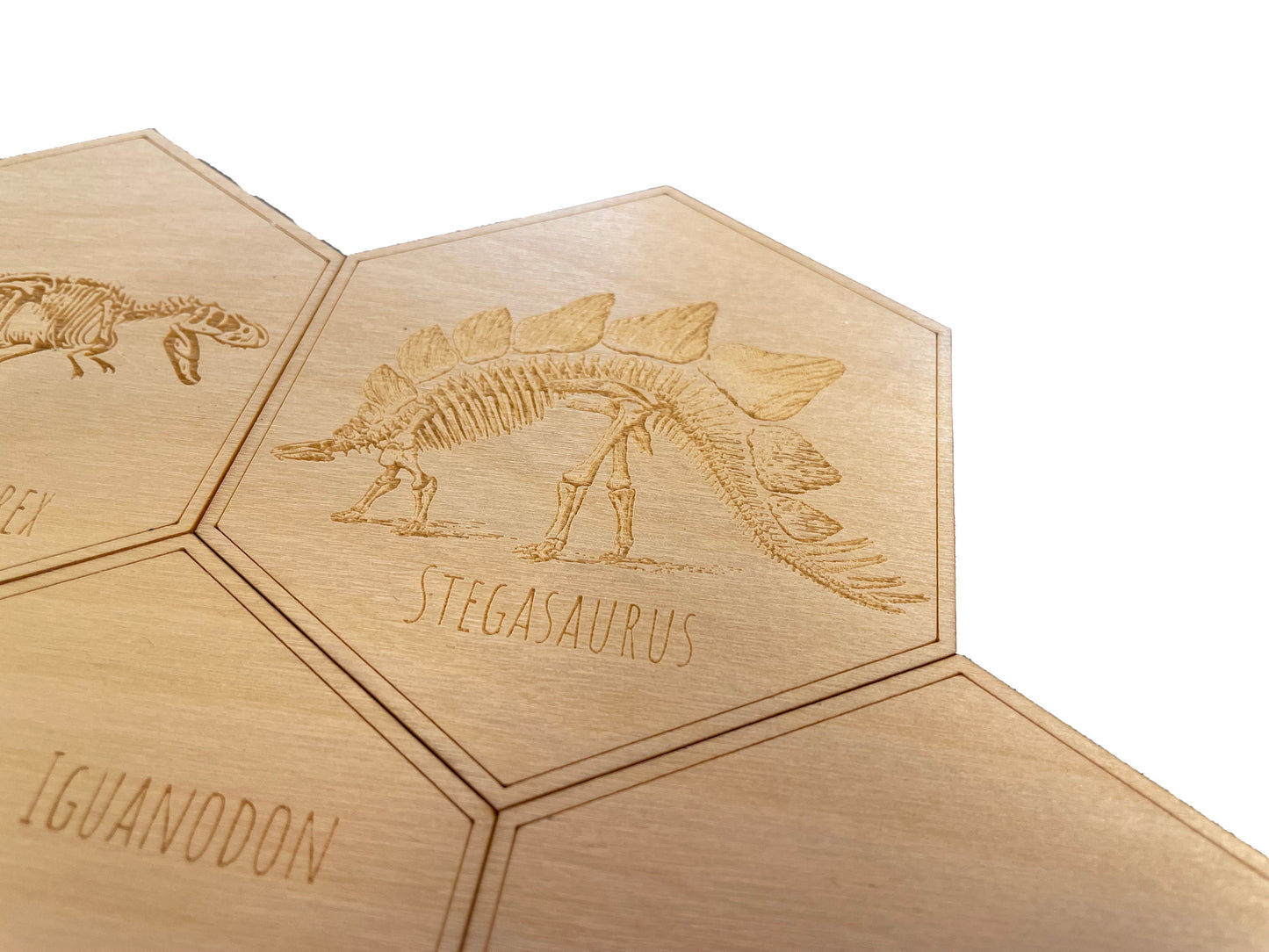Dinosaur Skeleton Coasters | Tyrannosaurus Rex | Stegosaurus | Triceratops | Iguanodon | Coaster Set