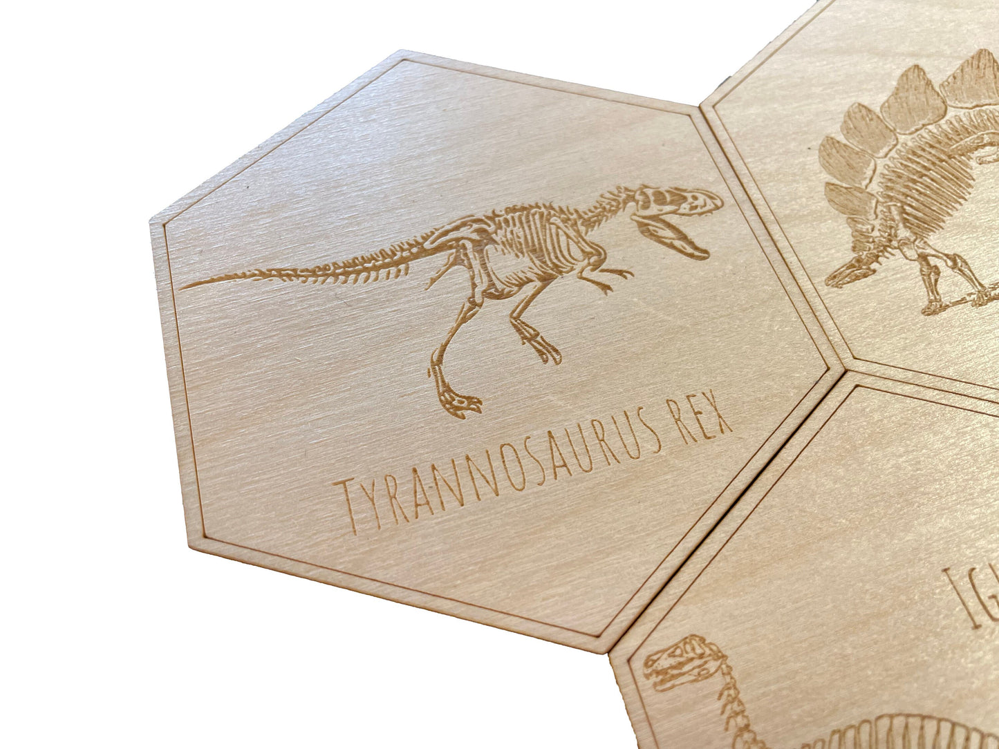 Dinosaur Skeleton Coasters | Tyrannosaurus Rex | Stegosaurus | Triceratops | Iguanodon | Coaster Set