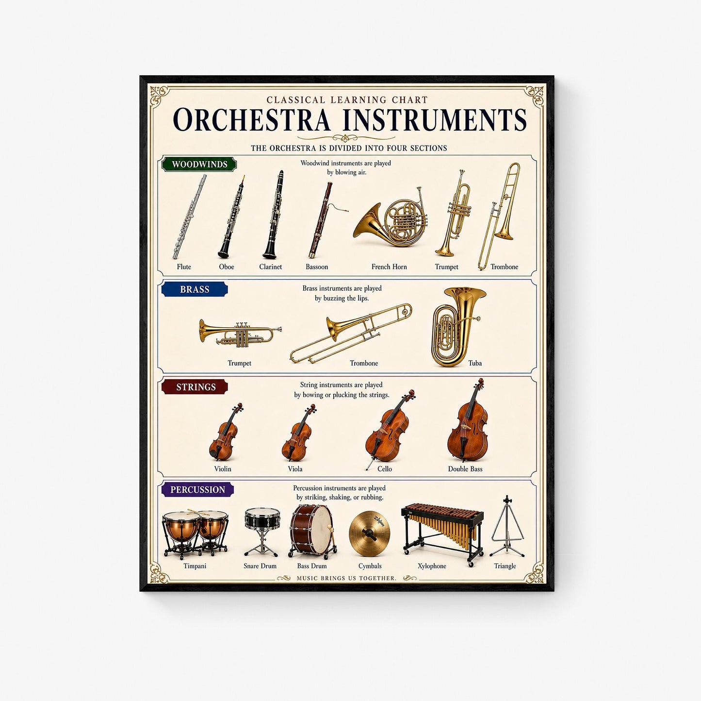 Orchestra Instruments Chart Wall Art Print, Classical Learning Poster, Teacher Classroom Reference, Homeschool, Study Music Room Decor