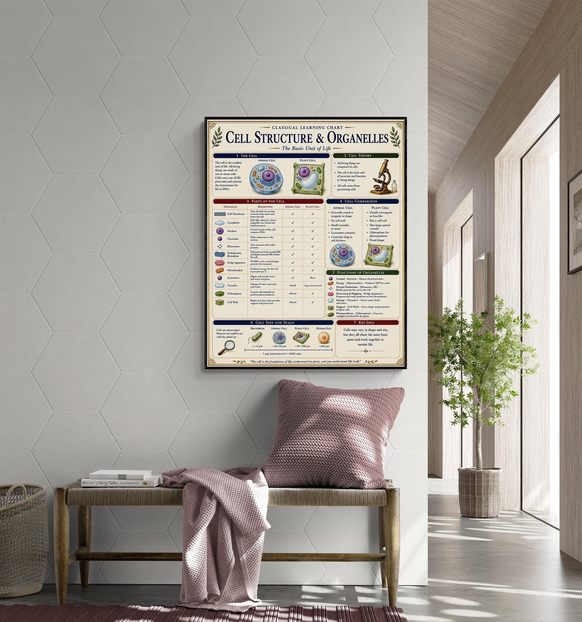 Cell Structure Biology Chart Wall Art Print, Classical Learning Poster, Teacher Classroom Reference, Homeschool, Science Room Decor