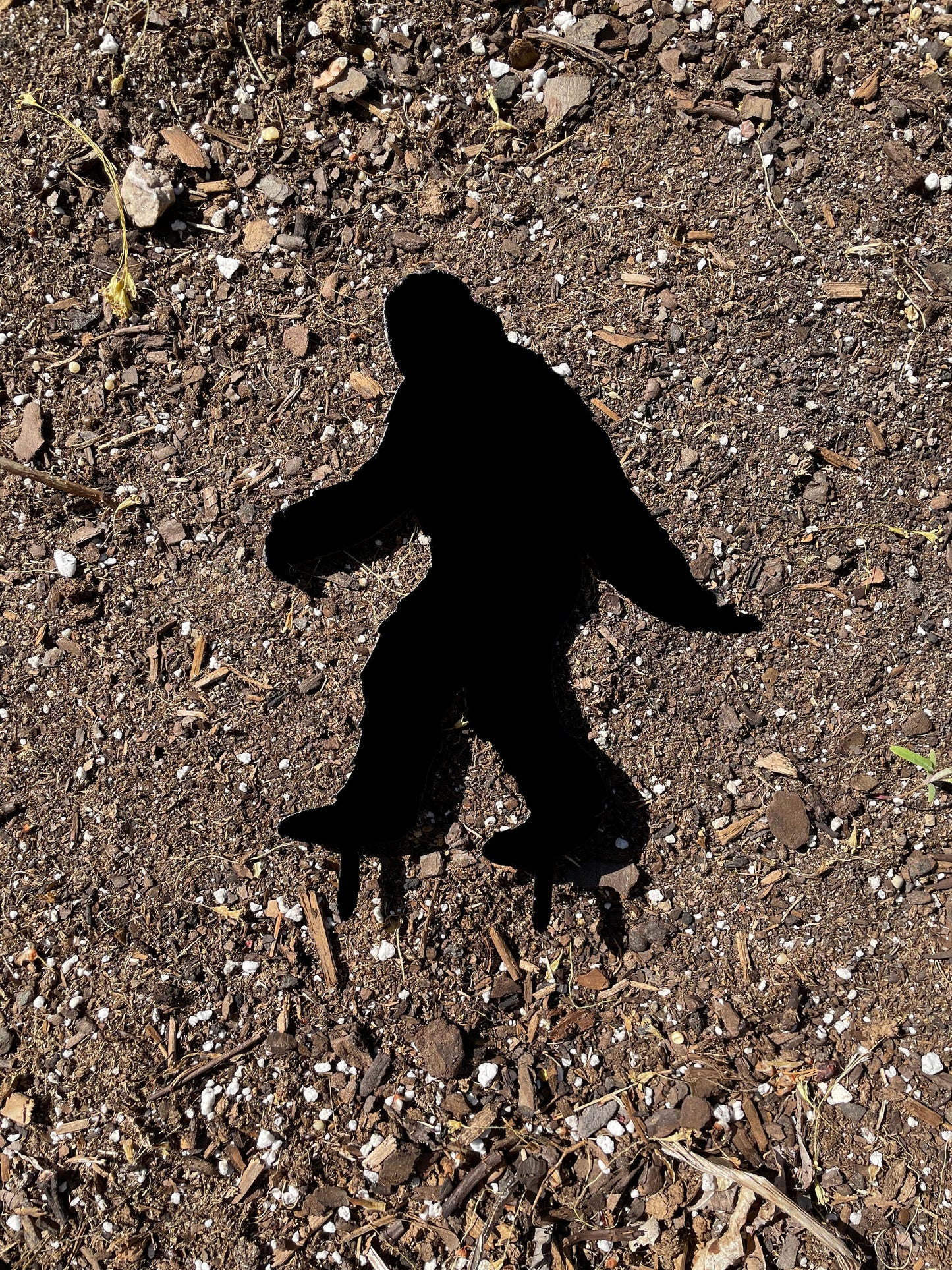 Bigfoot Hiding In Your Garden | Garden and Lawn Decor | Sasquatch | Acrylic