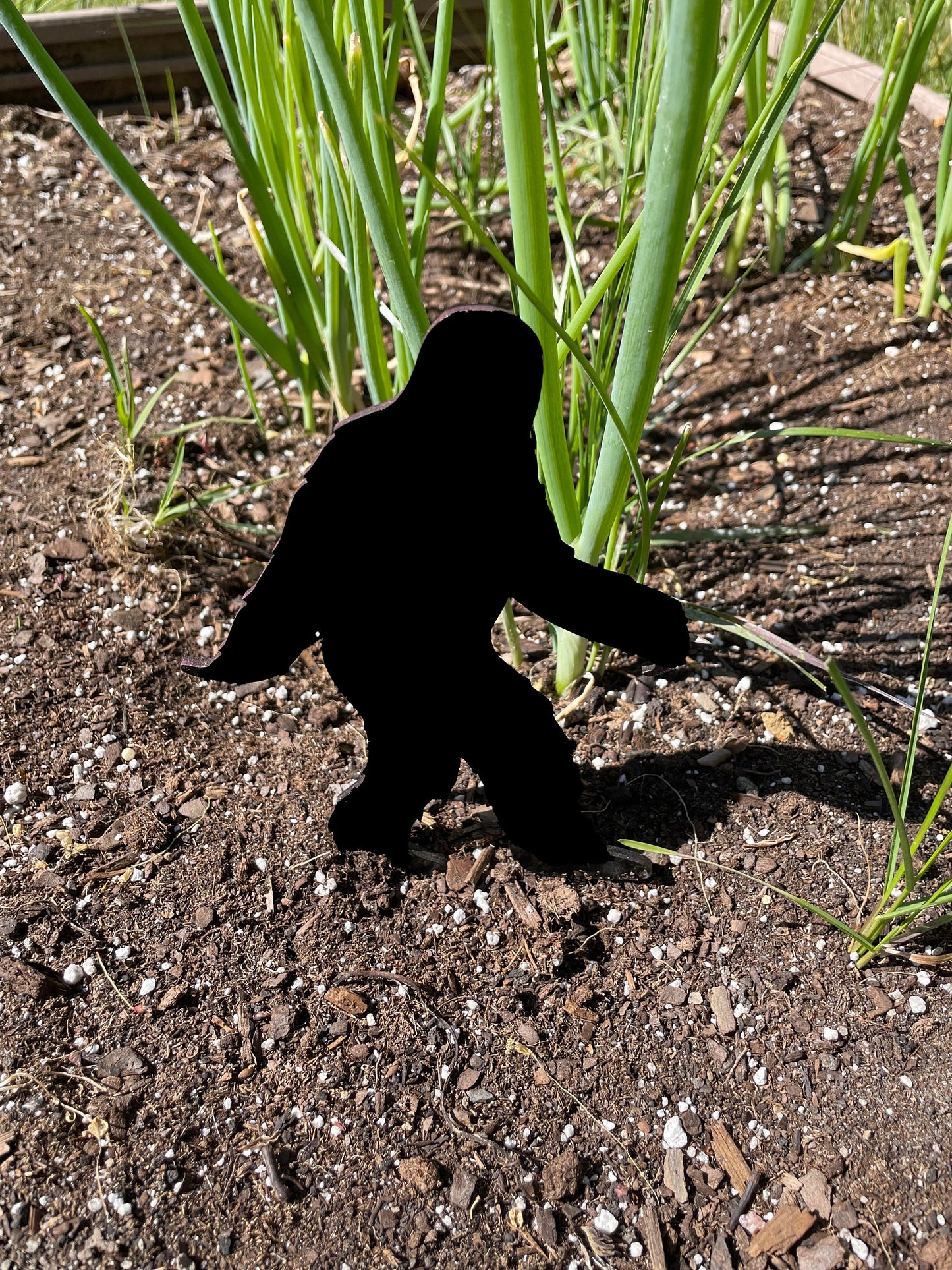 Bigfoot Hiding In Your Garden | Garden and Lawn Decor | Sasquatch | Acrylic