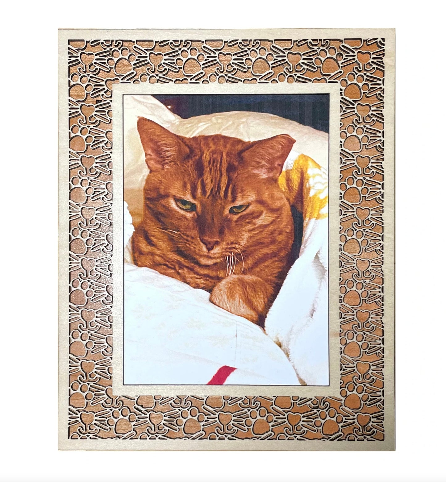 Cat Whisker & Paw 5x7 Frame With Easel | Assembly And Painting Required | Picture Frame