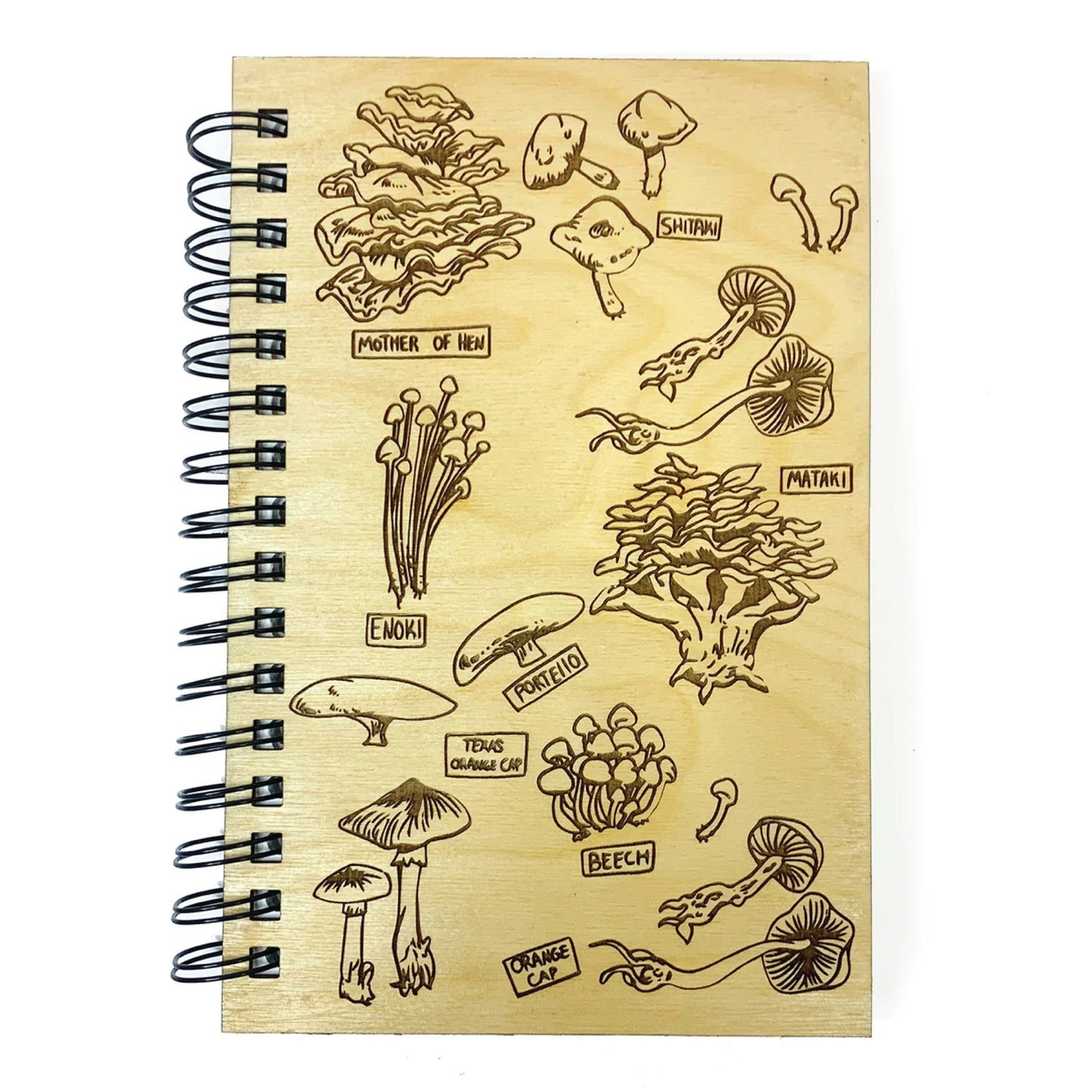 Mushroom And Fungi Journal | Study Trees, Mushrooms, Leaves, Animals, Birds and Insects | Drawing Or Sketching Diary