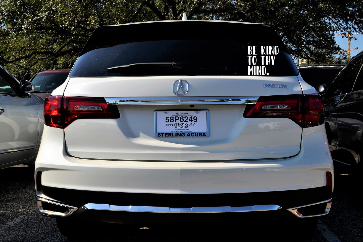 Mental Health Advocacy Vinyl Car Decal: Be Kind To Thy Mind | Promote Awareness and Support | Perfect for Cars and Vans