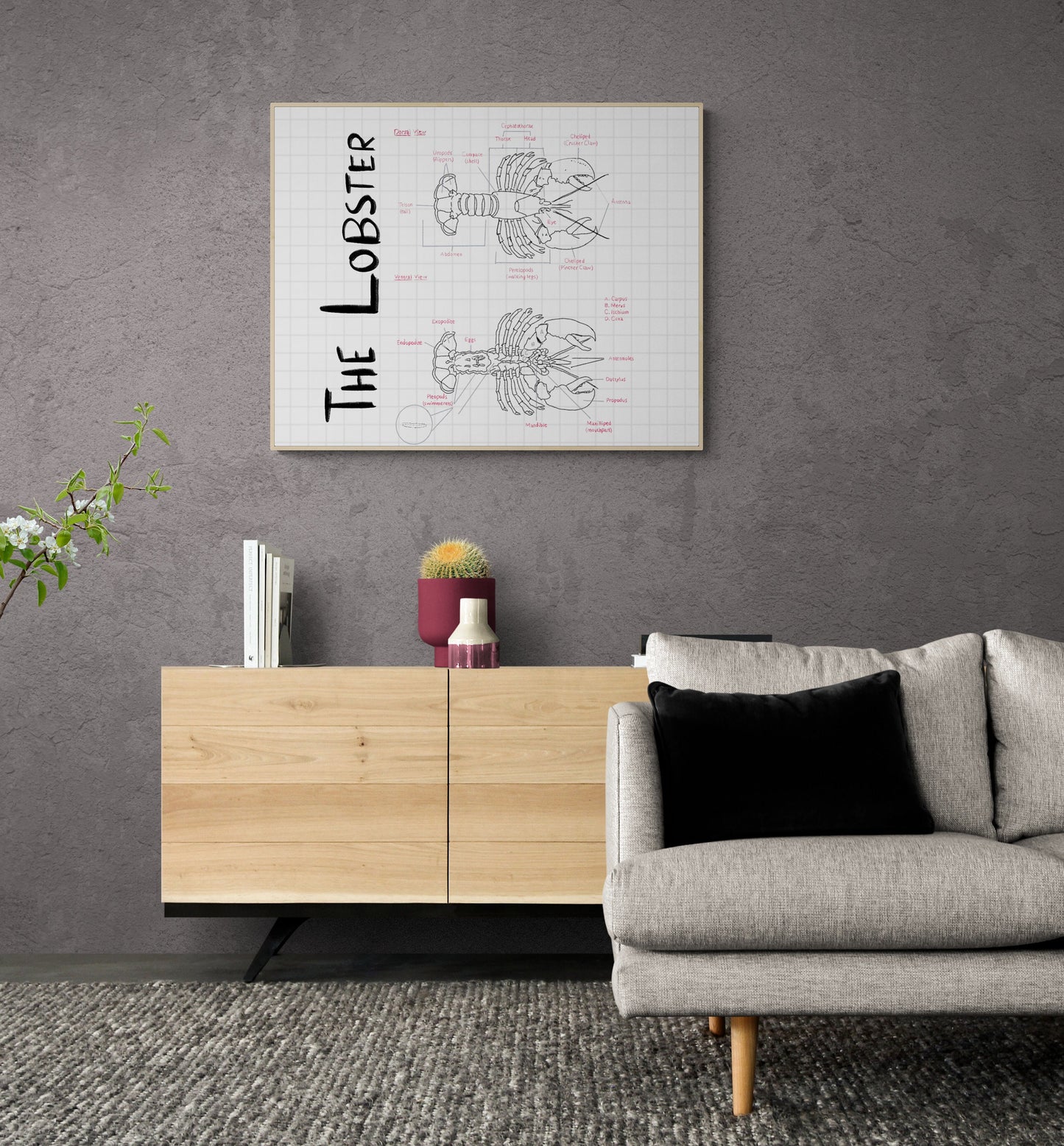 Hand-Drawn Lobster Anatomy Art Print