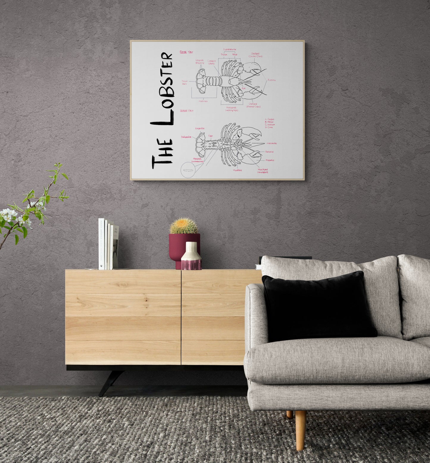 Hand-Drawn Lobster Anatomy Art Print