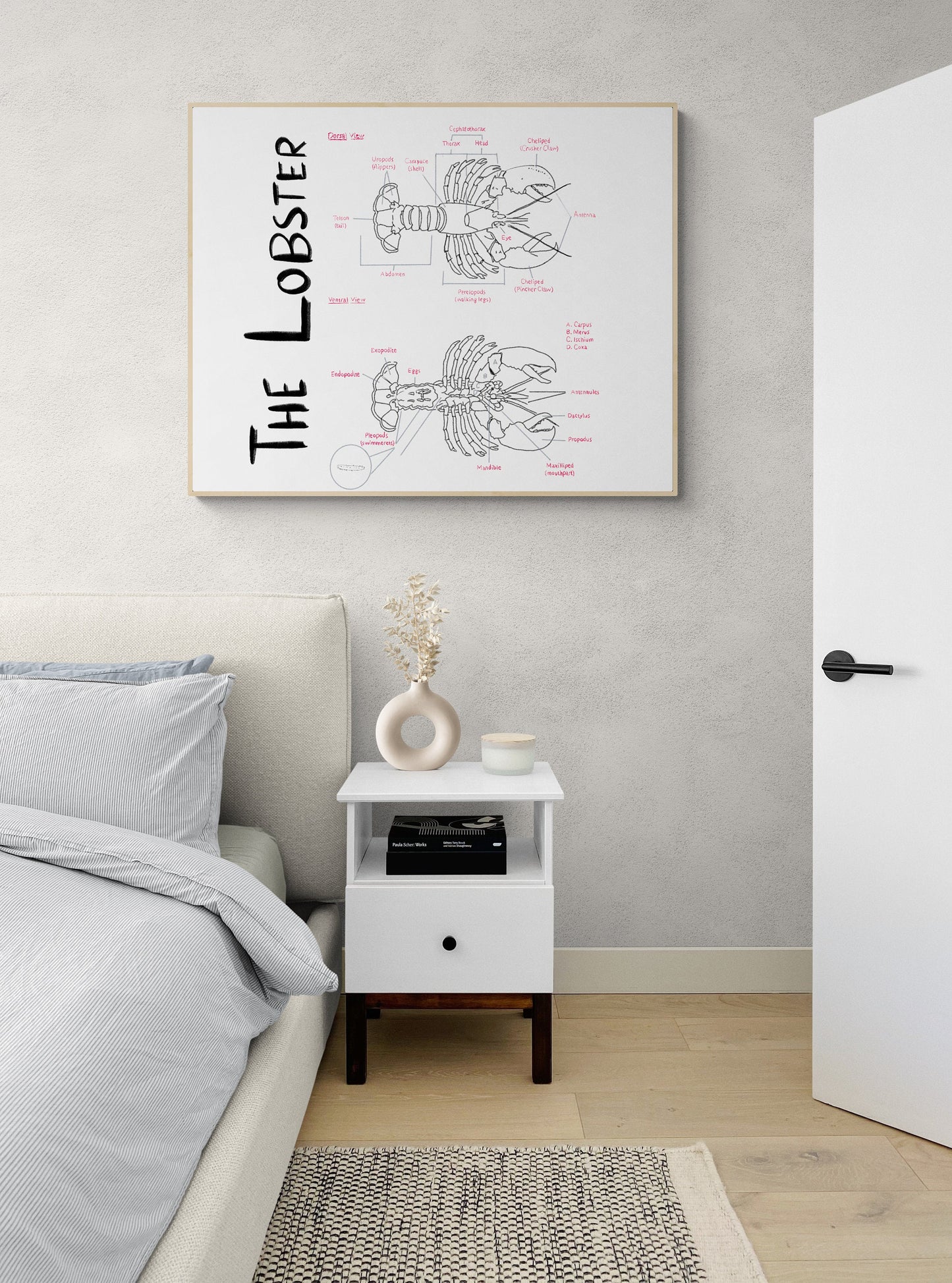 Hand-Drawn Lobster Anatomy Art Print