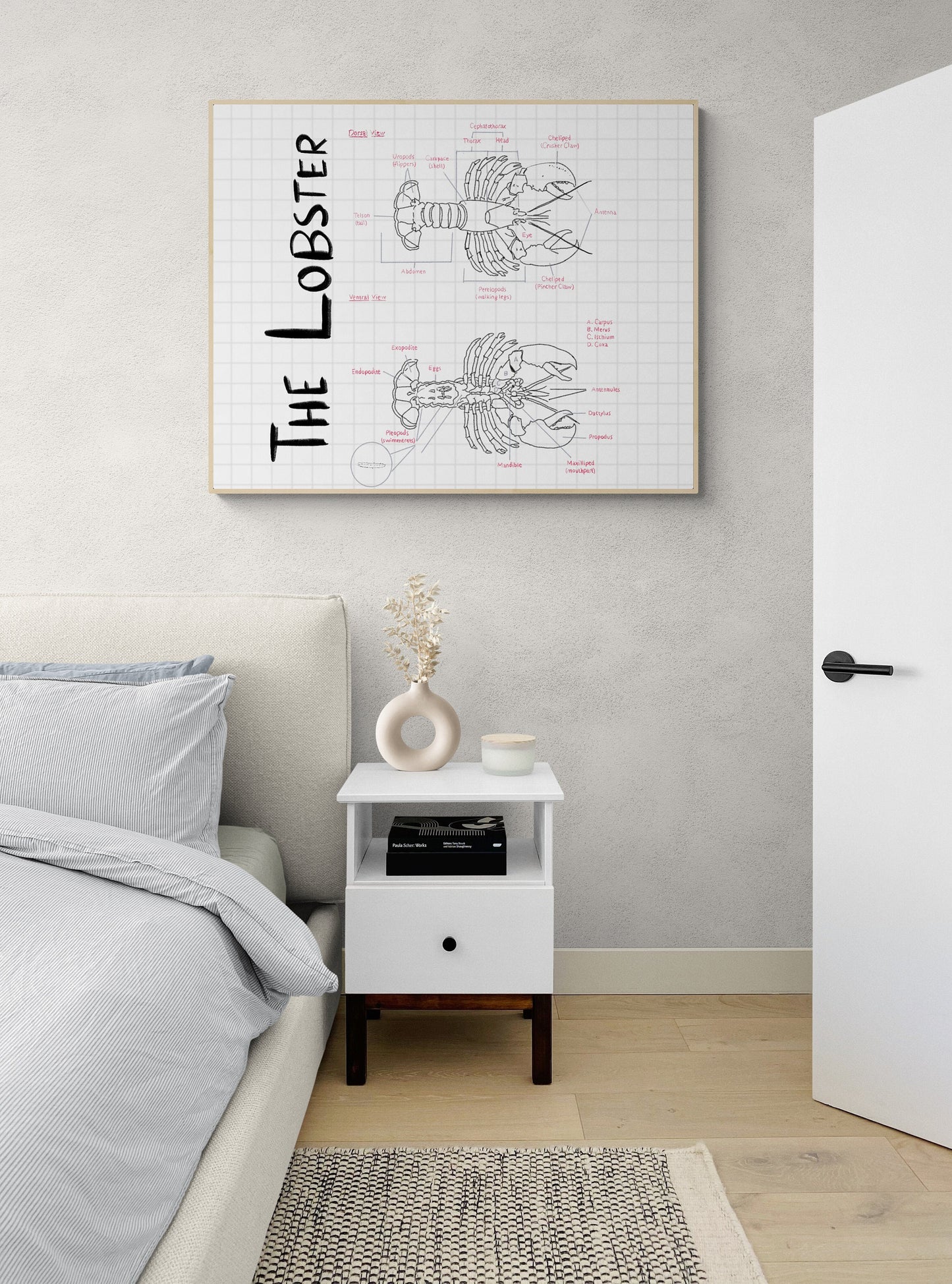 Hand-Drawn Lobster Anatomy Art Print