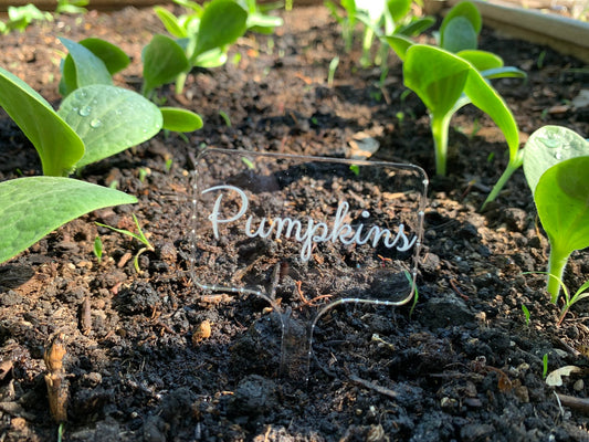 Calligraphy Garden Stakes | Custom Identifying Garden Markers Set | Made of Clear Acrylic
