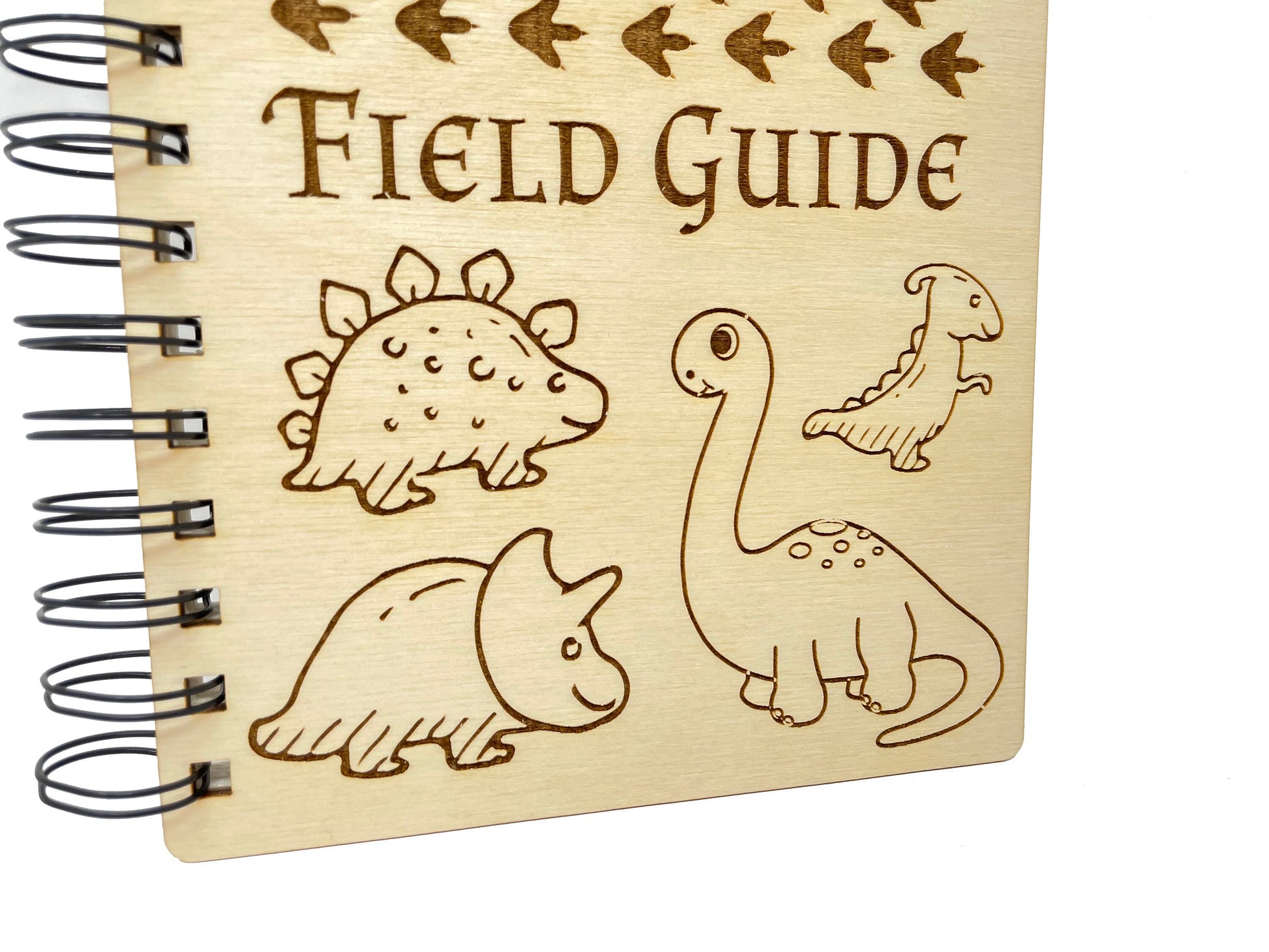 Dinosaur Field Guide Journal | T-Rex, Velociraptor, Brachiosaurus, Spinosaurus, Triceratops, Pterodactyl | Drawing Diary