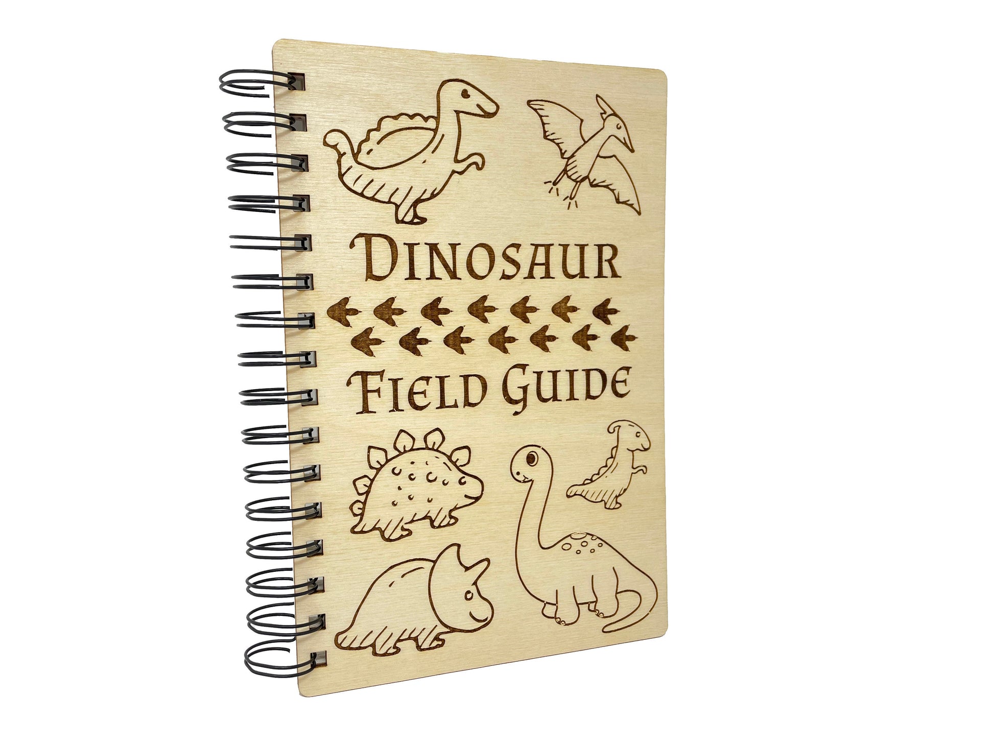 Dinosaur Field Guide Journal | T-Rex, Velociraptor, Brachiosaurus, Spinosaurus, Triceratops, Pterodactyl | Drawing Diary