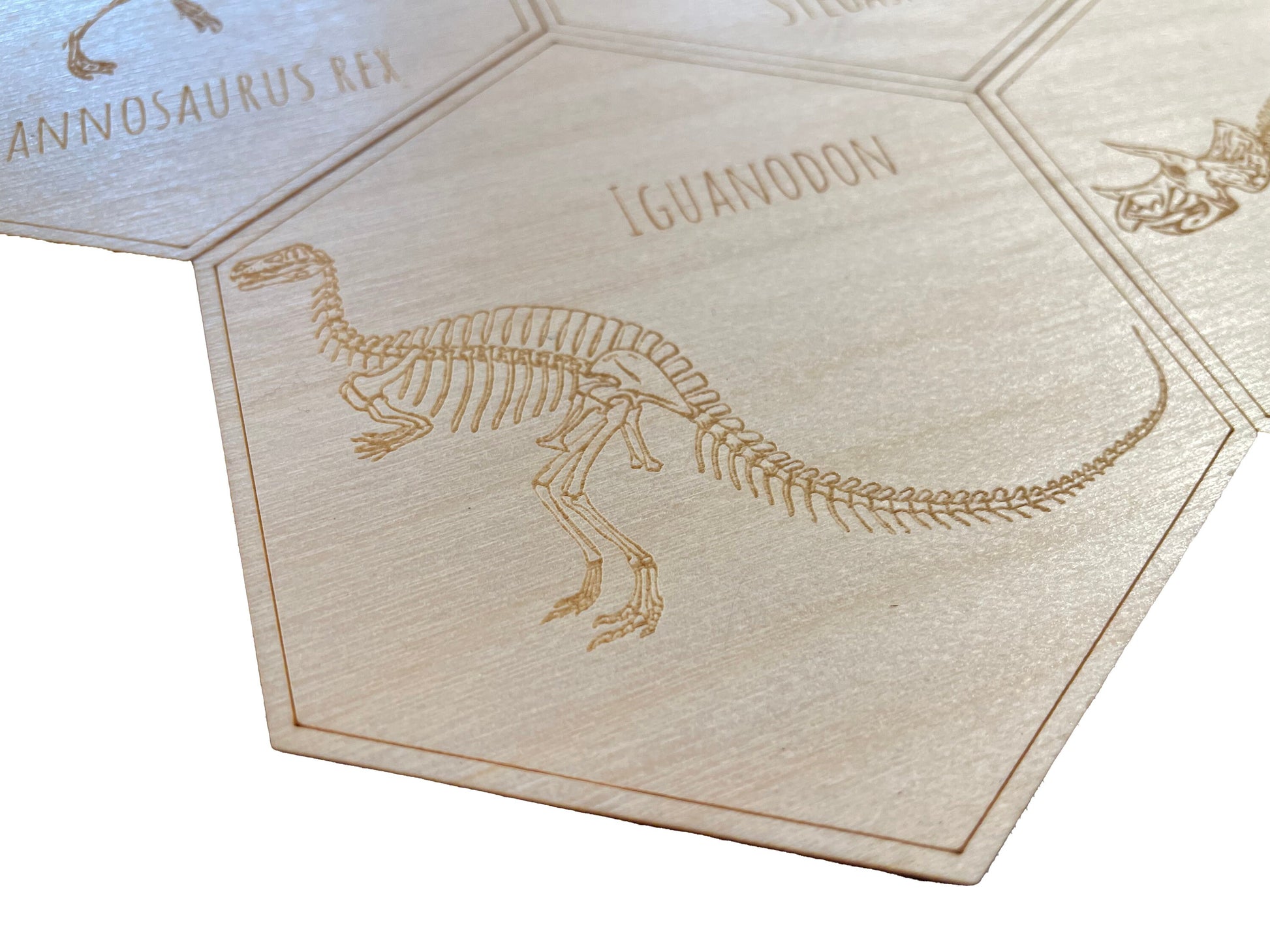 Dinosaur Skeleton Coasters | Tyrannosaurus Rex | Stegosaurus | Triceratops | Iguanodon | Coaster Set