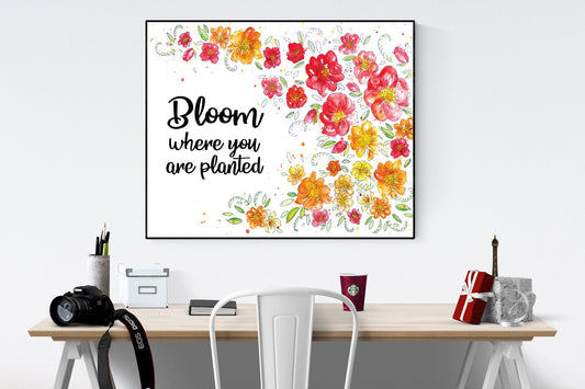 May include: A framed print with a white background and a watercolor illustration of red, orange, and yellow flowers. The text 'Bloom where you are planted' is written in black cursive font.