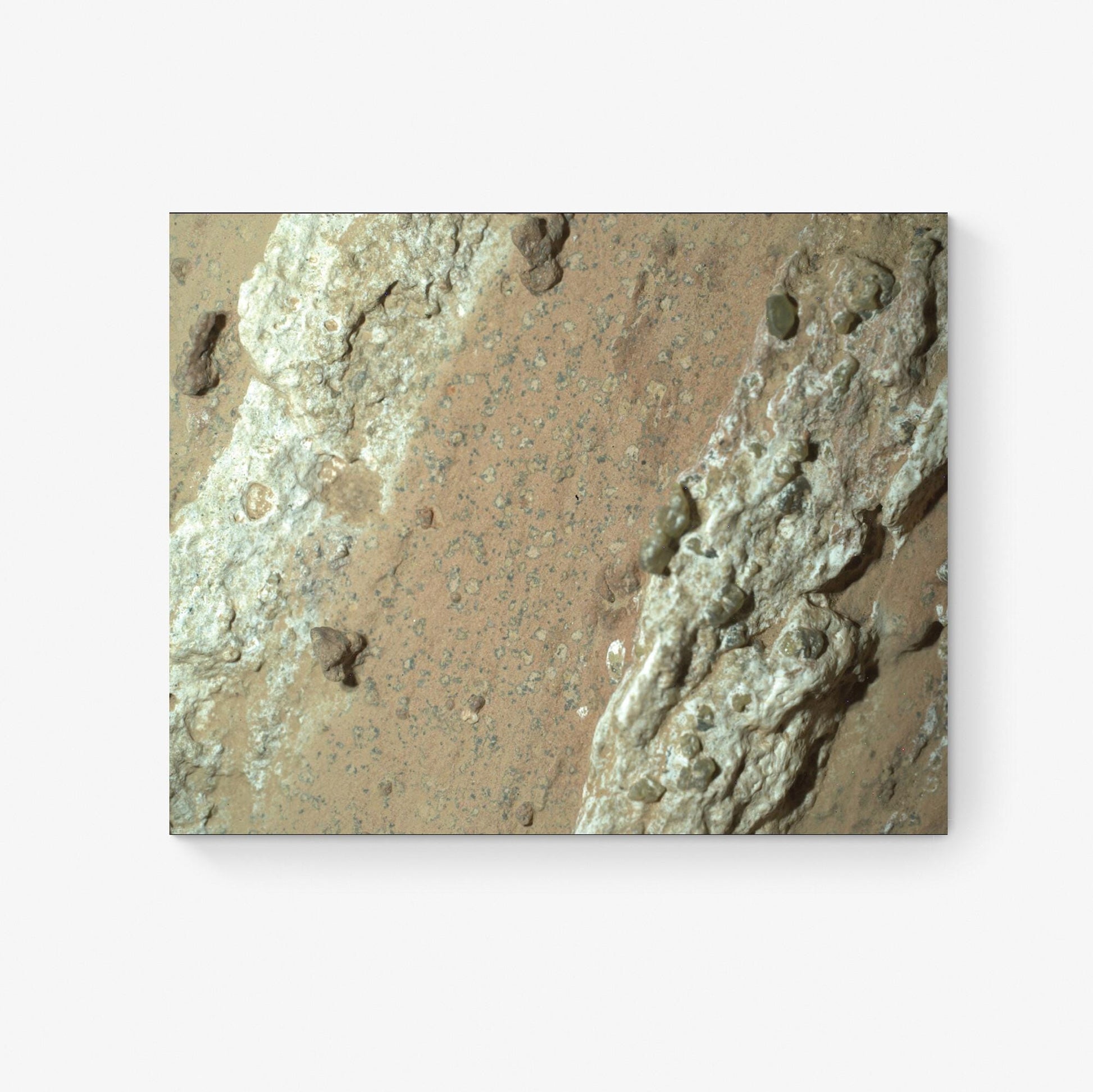 Cheyava Falls Art Print | NASA Perseverance Rover | Mars Ancient Life | Home Decor | Space Exploration | Home Decor Poster