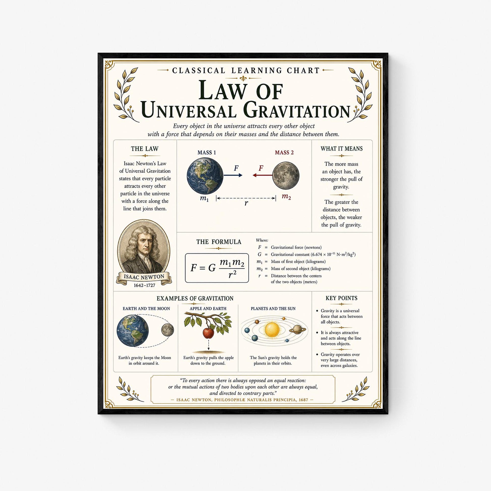Law of Universal Gravitation Chart Wall Art Print, Classical Learning Poster, Teacher Classroom Reference, Homeschool, Science Room Decor