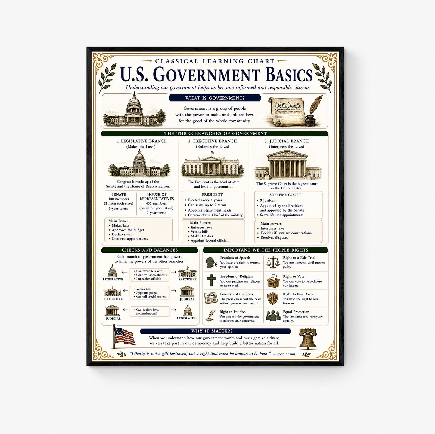 Basics of US Government Chart Wall Art Print, Classical Learning Poster, History Teacher Classroom Reference, Homeschool, Civics Room Decor