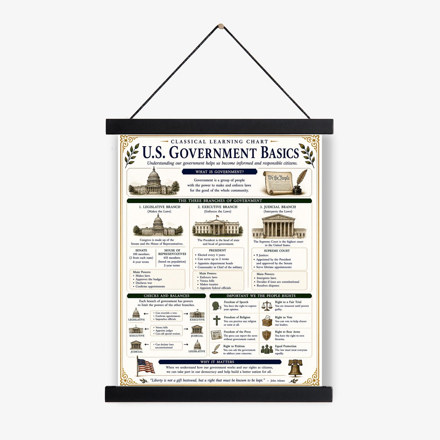 Basics of US Government Chart Wall Art Print, Classical Learning Poster, History Teacher Classroom Reference, Homeschool, Civics Room Decor
