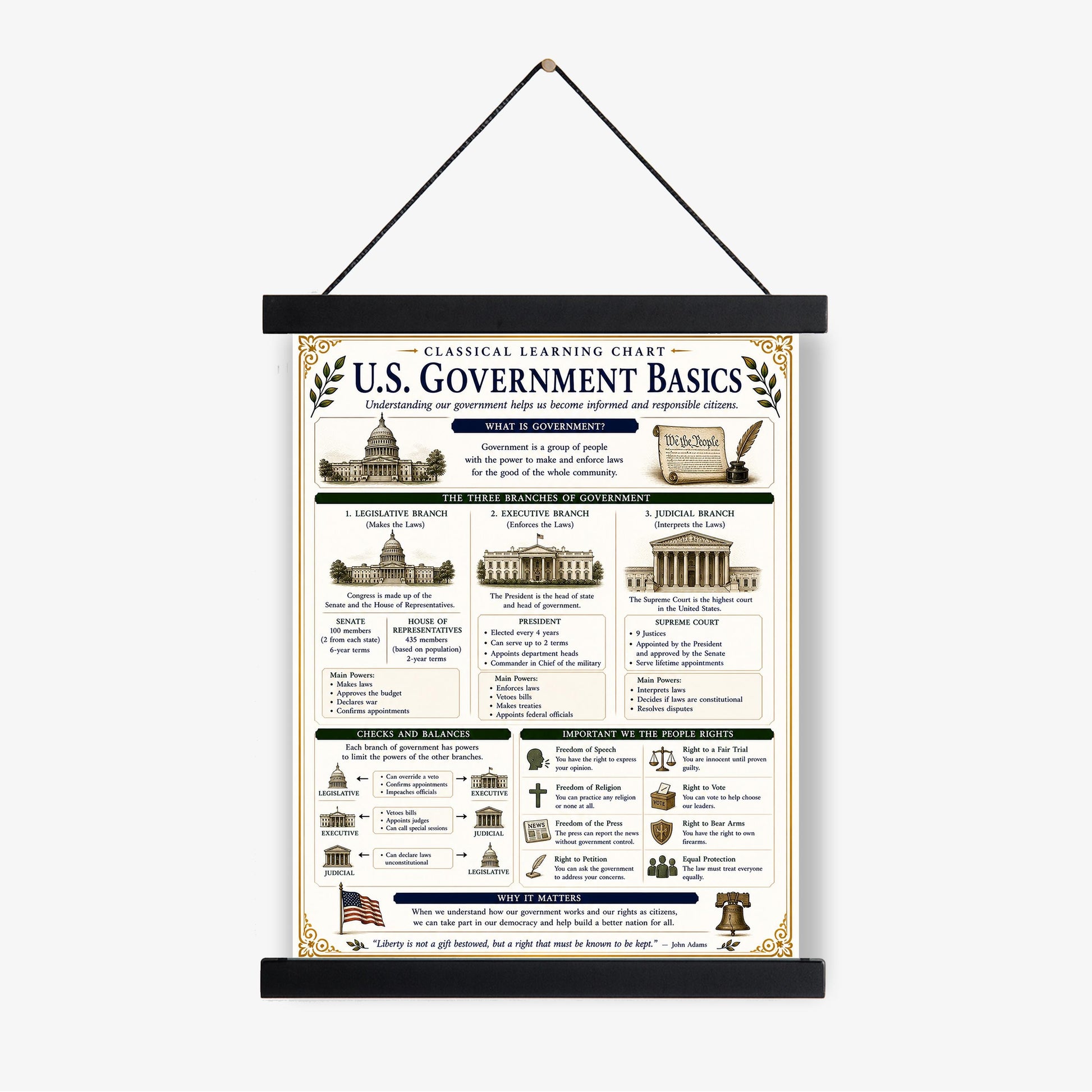Basics of US Government Chart Wall Art Print, Classical Learning Poster, History Teacher Classroom Reference, Homeschool, Civics Room Decor