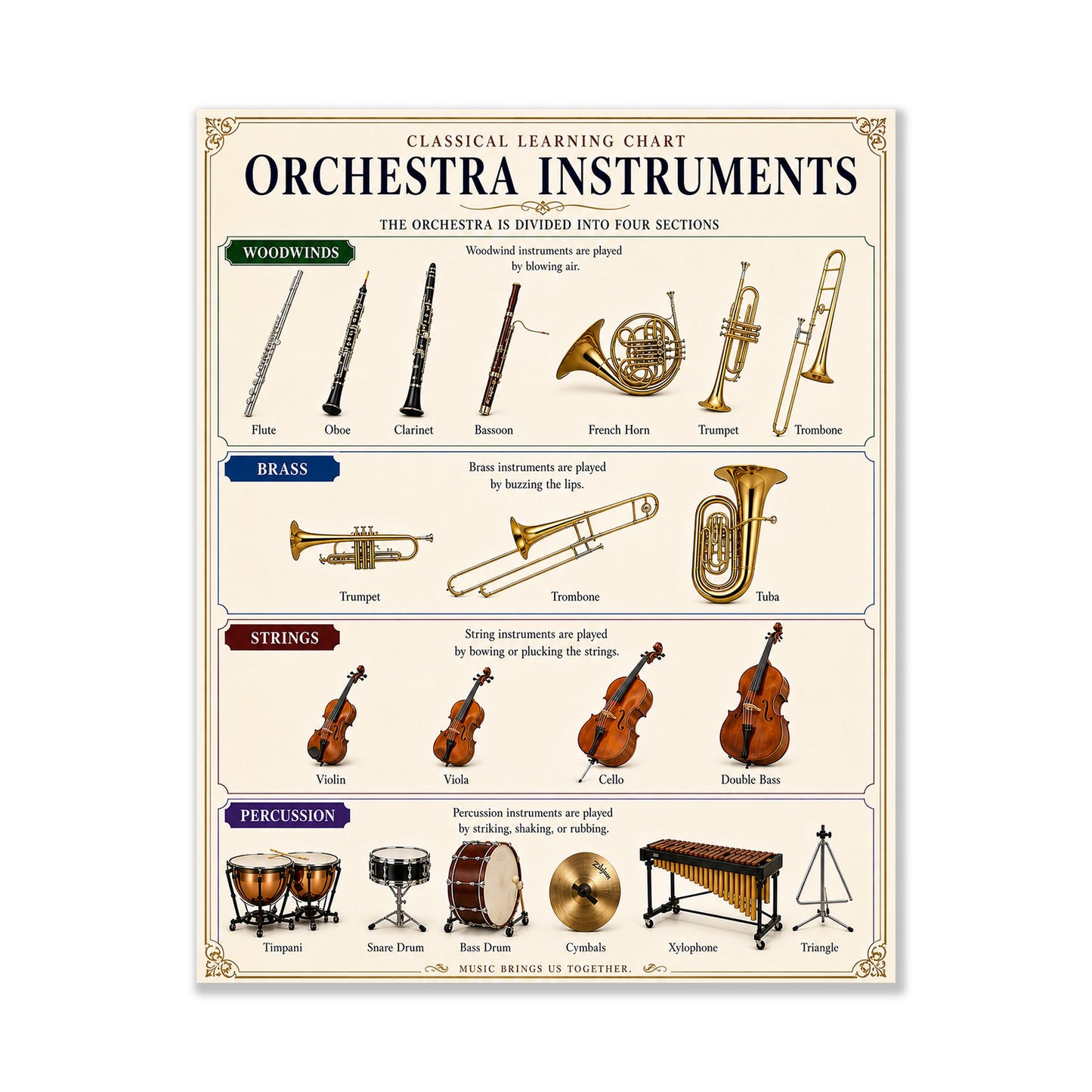 Orchestra Instruments Chart Wall Art Print, Classical Learning Poster, Teacher Classroom Reference, Homeschool, Study Music Room Decor