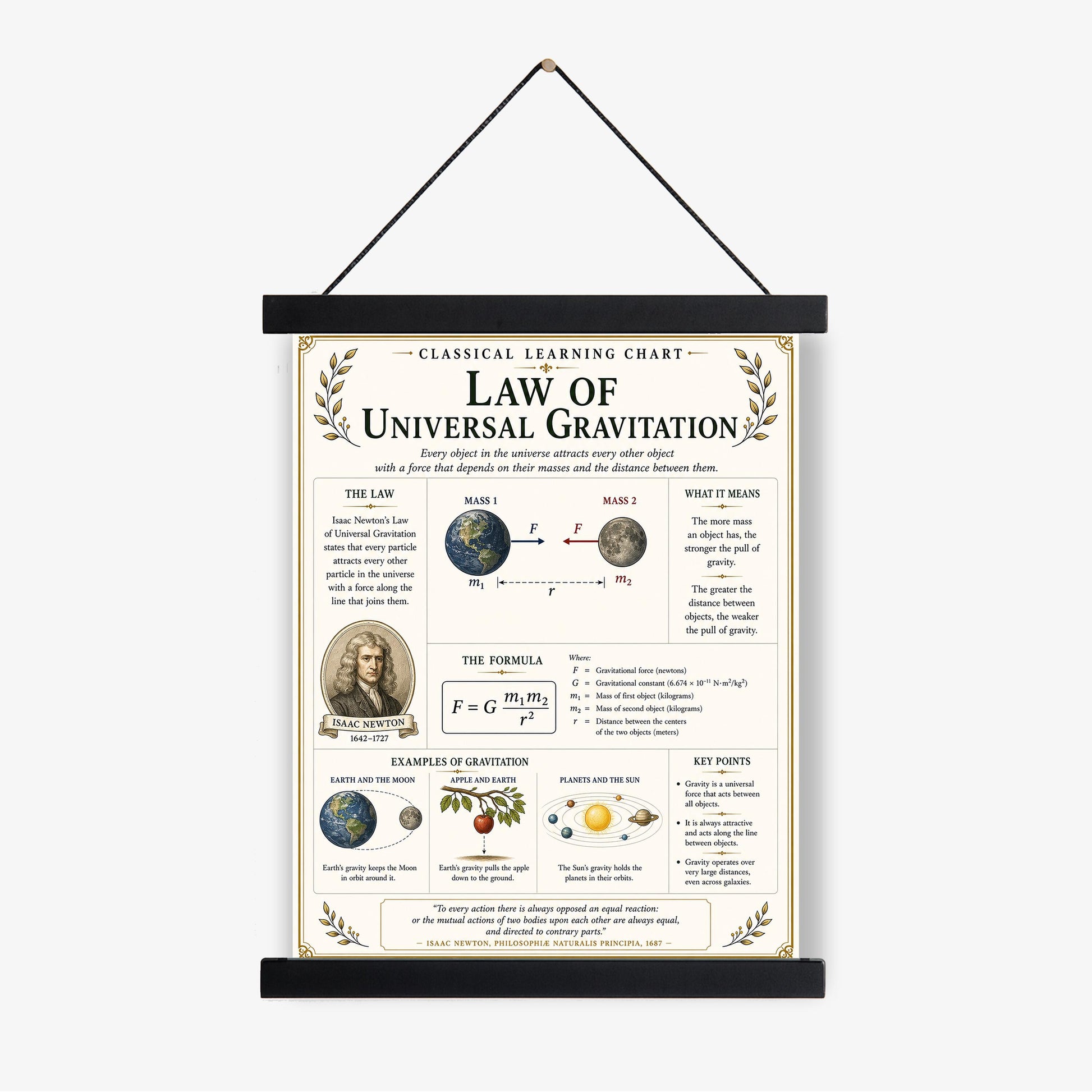 Law of Universal Gravitation Chart Wall Art Print, Classical Learning Poster, Teacher Classroom Reference, Homeschool, Science Room Decor
