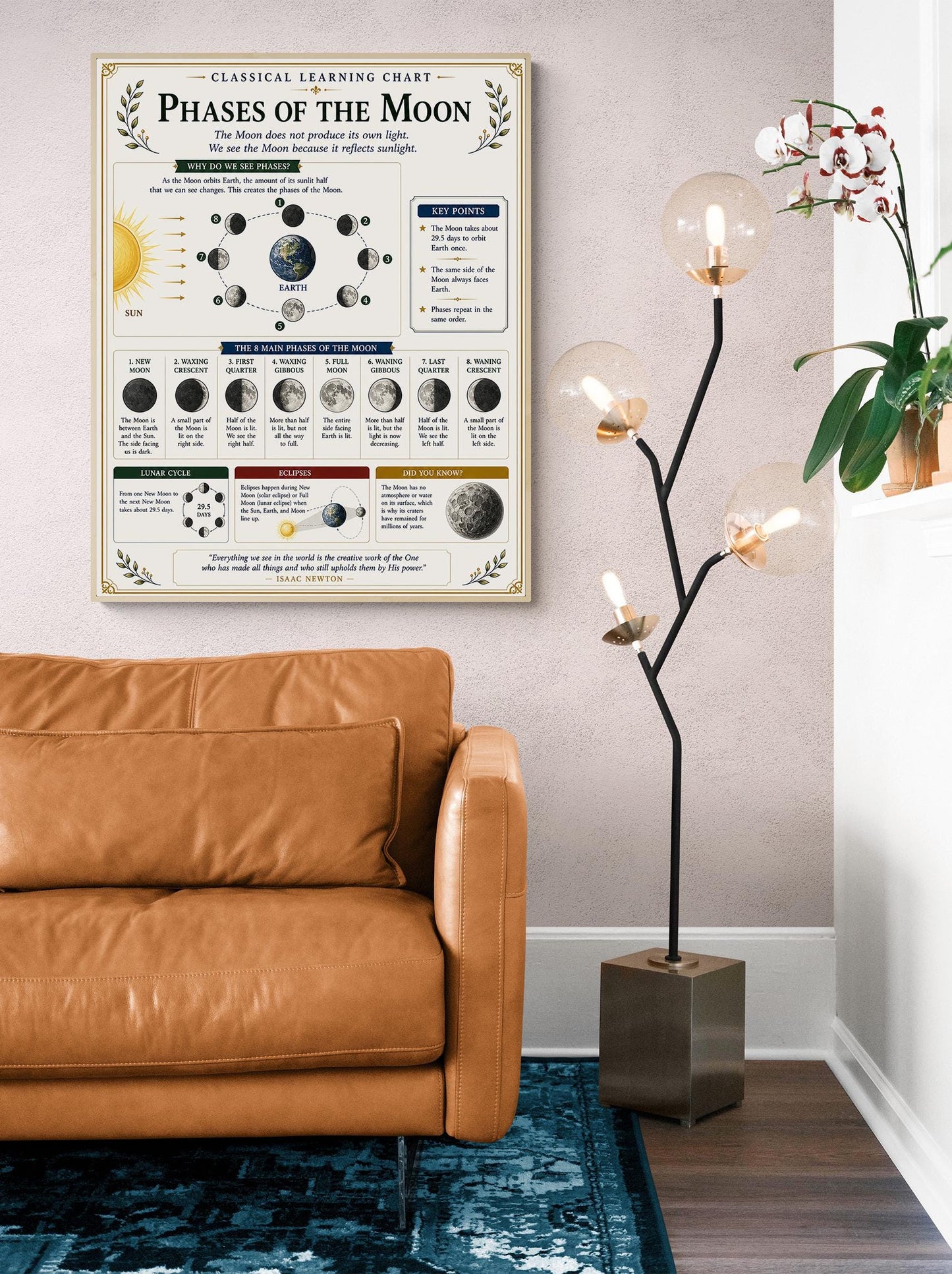 Phases of the Moon Astronomy Chart Wall Art Print, Classical Learning Poster, Teacher Classroom Reference, Homeschool, Science Room Decor
