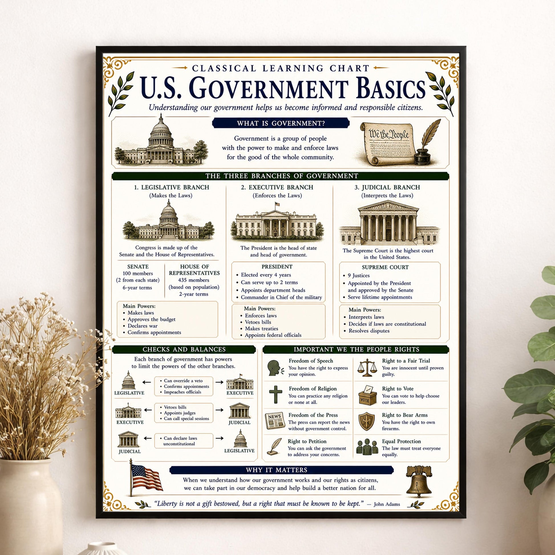 Basics of US Government Chart Wall Art Print, Classical Learning Poster, History Teacher Classroom Reference, Homeschool, Civics Room Decor