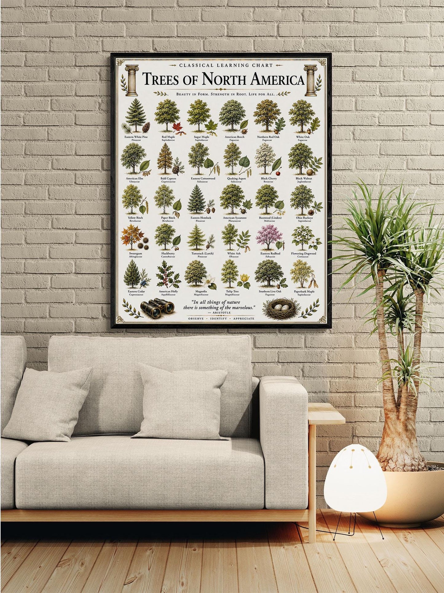 Trees of North America Chart Wall Art Print, Classical Learning Poster, Teacher Classroom Reference, Homeschool, Science Room Decor
