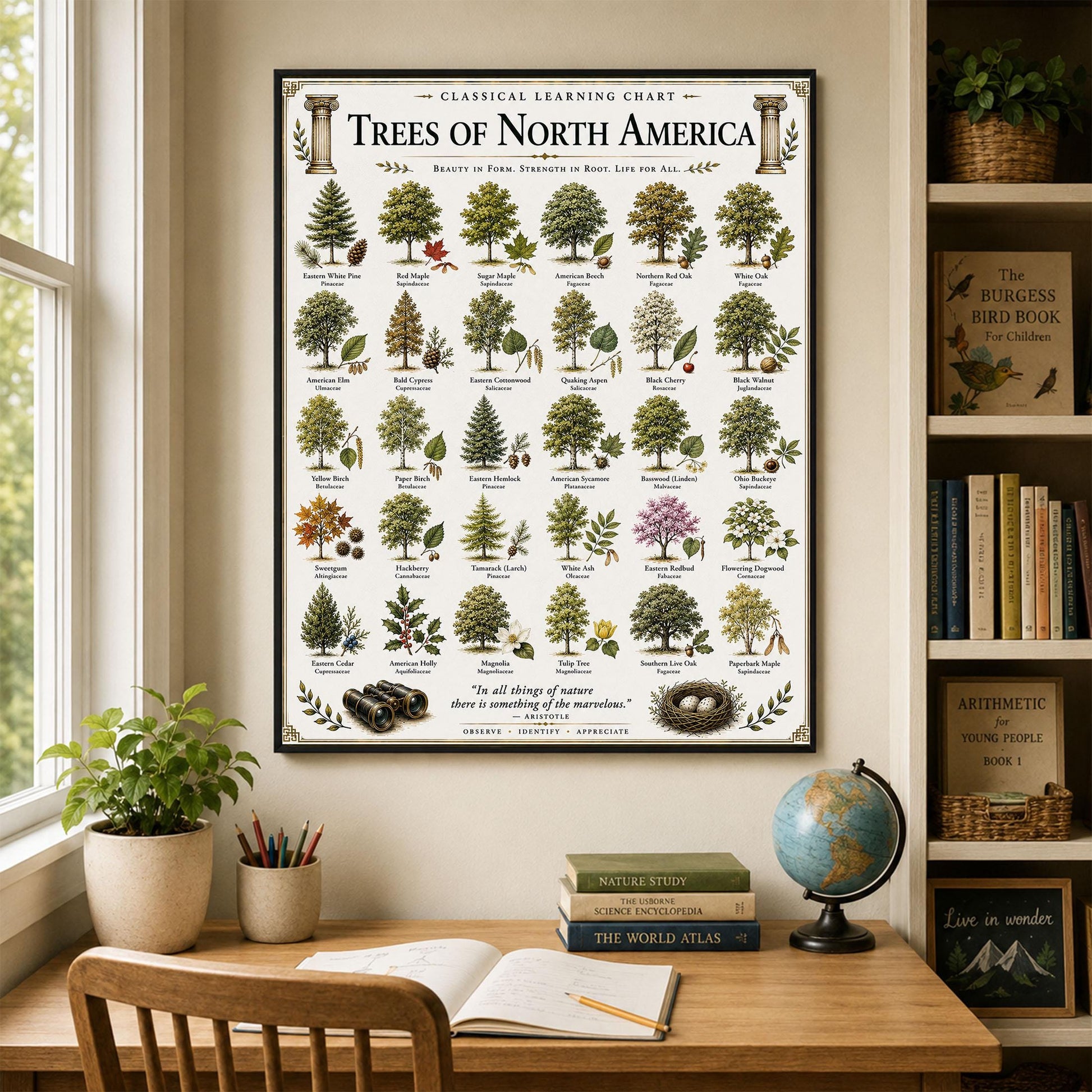 Trees of North America Chart Wall Art Print, Classical Learning Poster, Teacher Classroom Reference, Homeschool, Science Room Decor