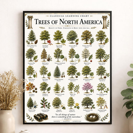 Trees of North America Chart Wall Art Print, Classical Learning Poster, Teacher Classroom Reference, Homeschool, Science Room Decor