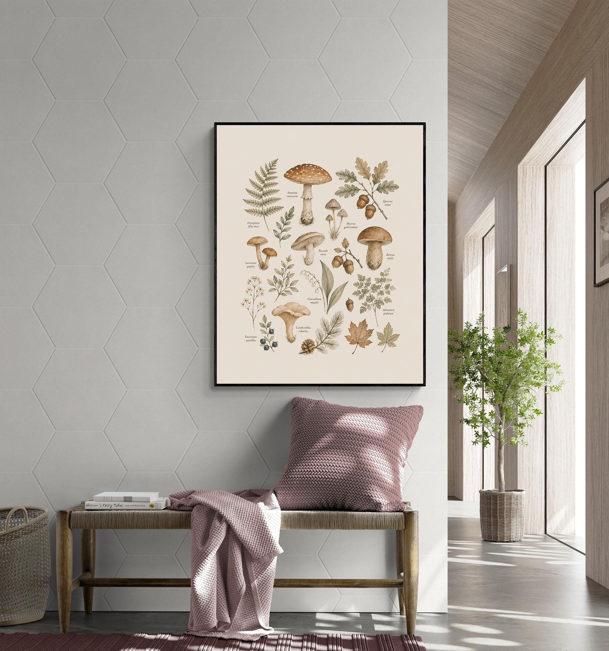 Vintage Botanical Mushroom Nursery Wall Art Print | Children’s Home Decor | For Boy | Kids | Girl | Cottage core | Natural History Artwork