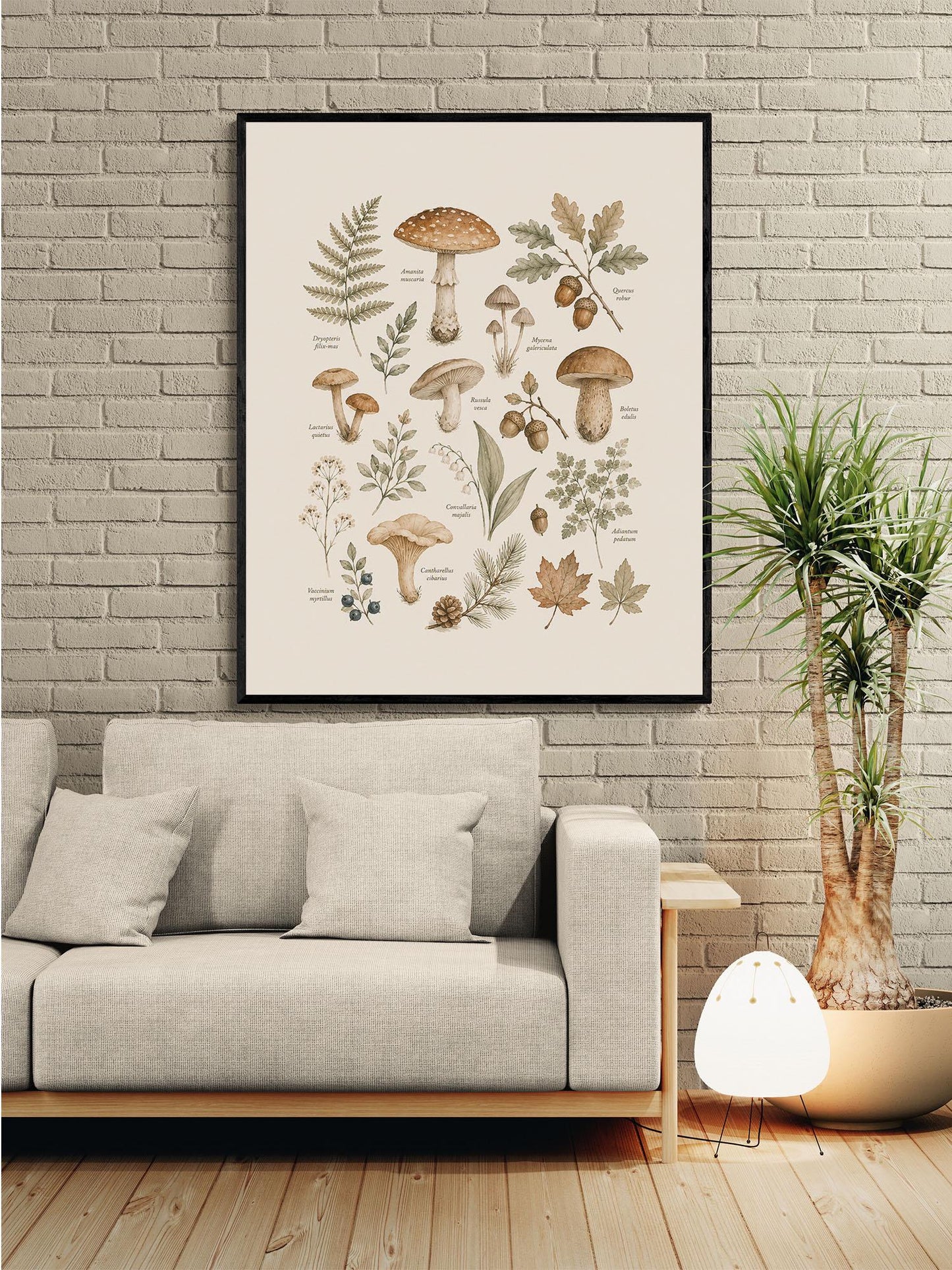 Vintage Botanical Mushroom Nursery Wall Art Print | Children’s Home Decor | For Boy | Kids | Girl | Cottage core | Natural History Artwork