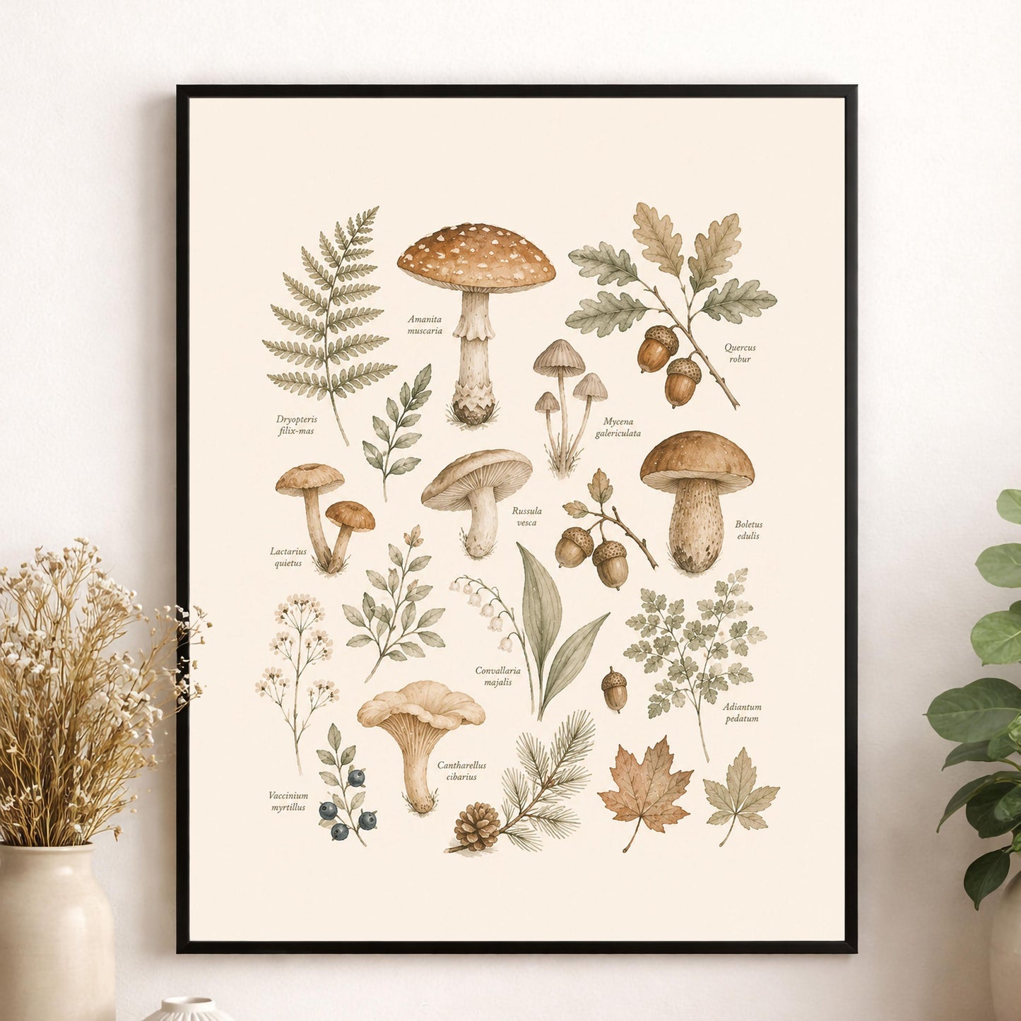 Vintage Botanical Mushroom Nursery Wall Art Print | Children’s Home Decor | For Boy | Kids | Girl | Cottage core | Natural History Artwork