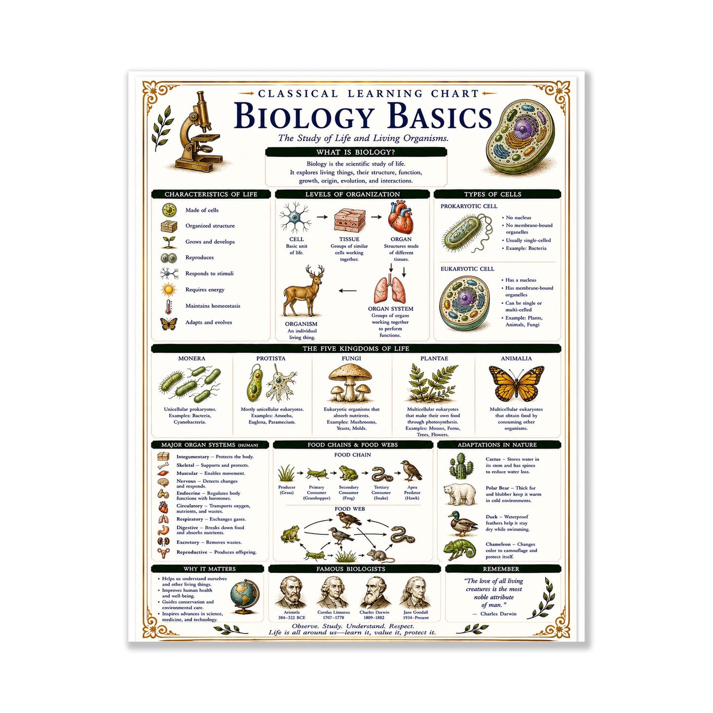 Biology Basics Chart Wall Art Print, Classical Learning Poster, STEM Teacher Classroom Reference, Homeschool, Physical Science Room Decor