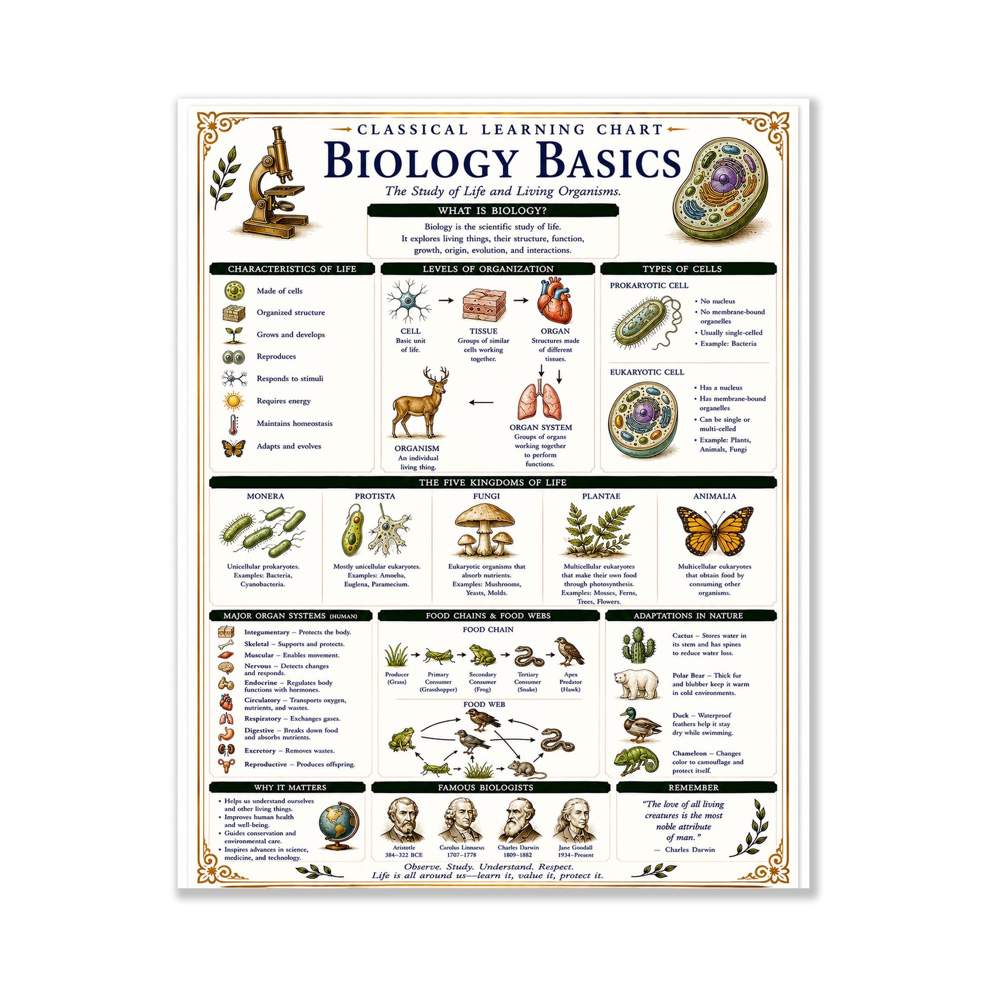 Biology Basics Chart Wall Art Print, Classical Learning Poster, STEM Teacher Classroom Reference, Homeschool, Physical Science Room Decor