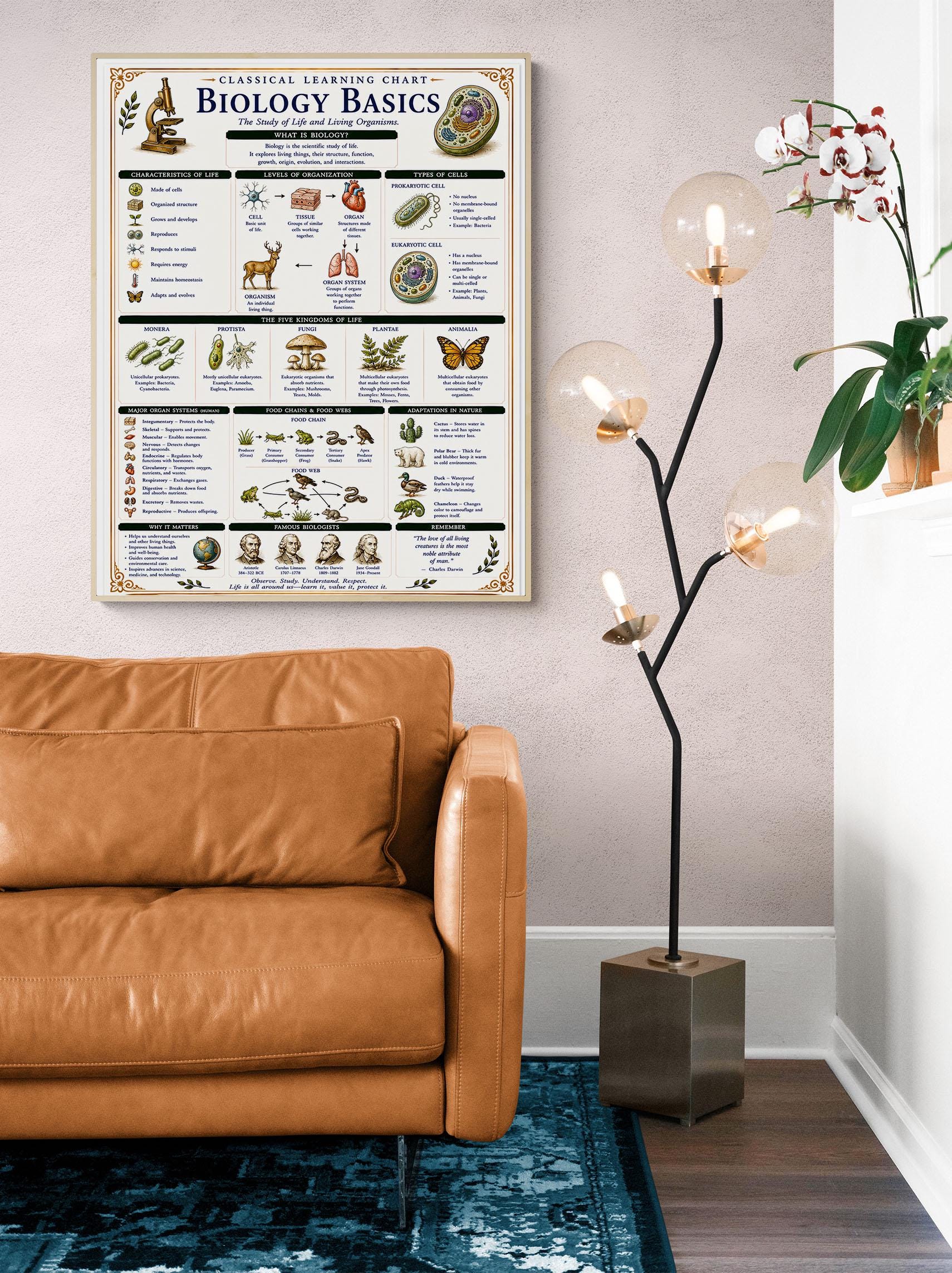 Biology Basics Chart Wall Art Print, Classical Learning Poster, STEM Teacher Classroom Reference, Homeschool, Physical Science Room Decor