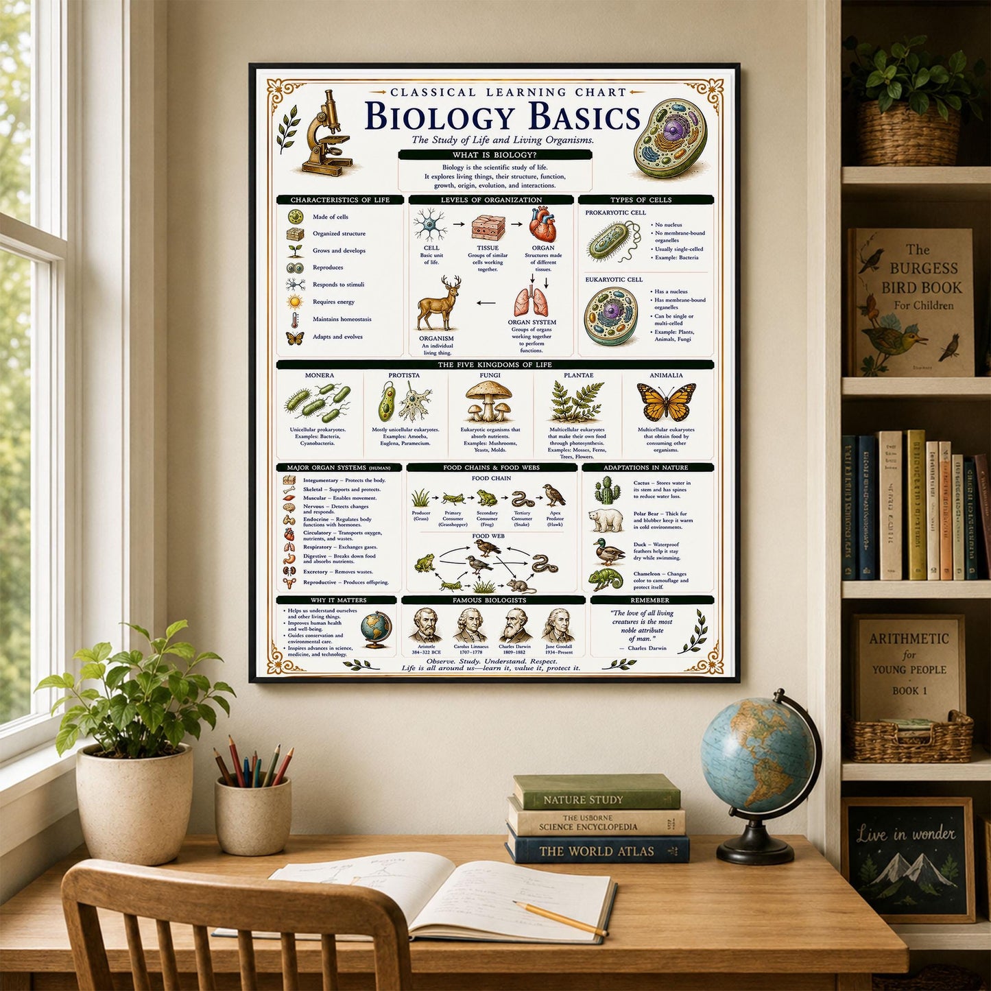 Biology Basics Chart Wall Art Print, Classical Learning Poster, STEM Teacher Classroom Reference, Homeschool, Physical Science Room Decor