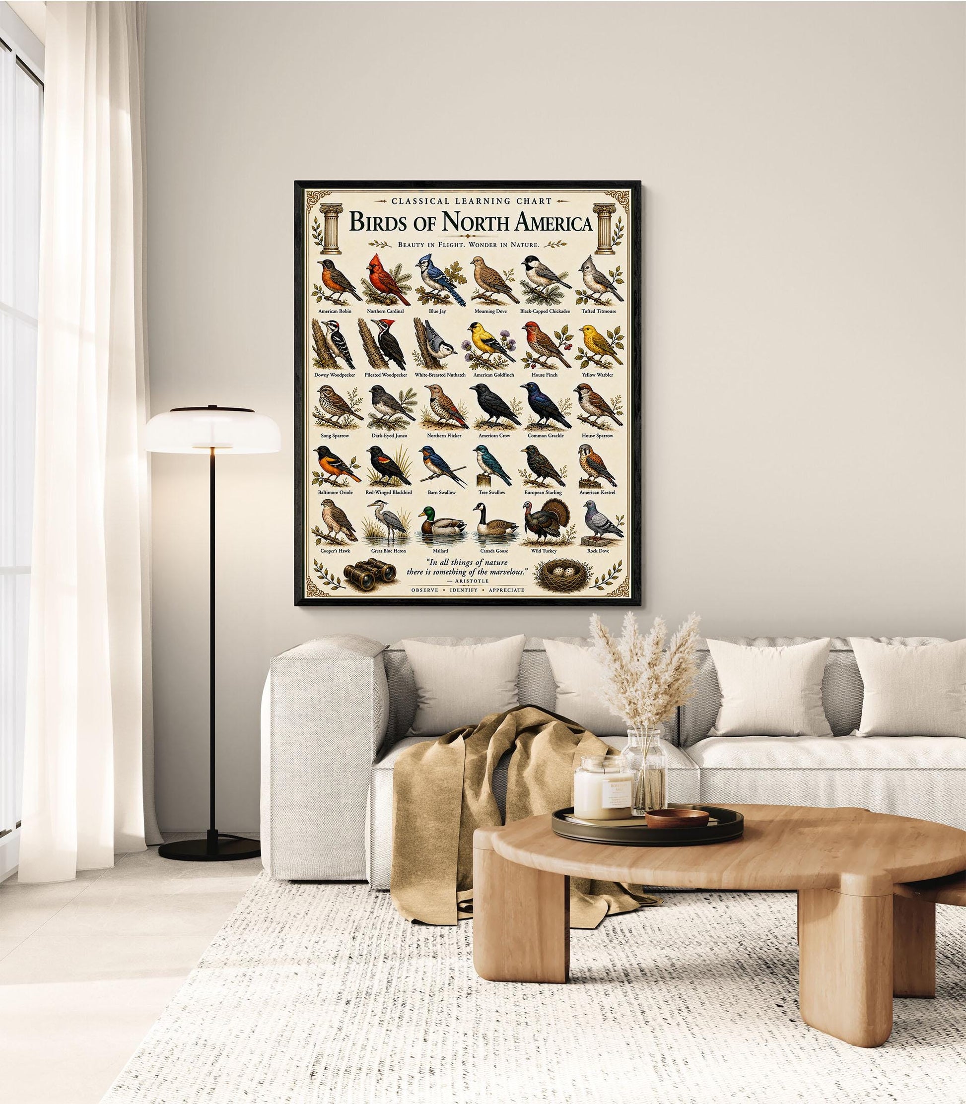 Birds of North America Chart Wall Art Print, Classical Learning Poster, Teacher Classroom Reference, Homeschool, Science Birdwatching Decor