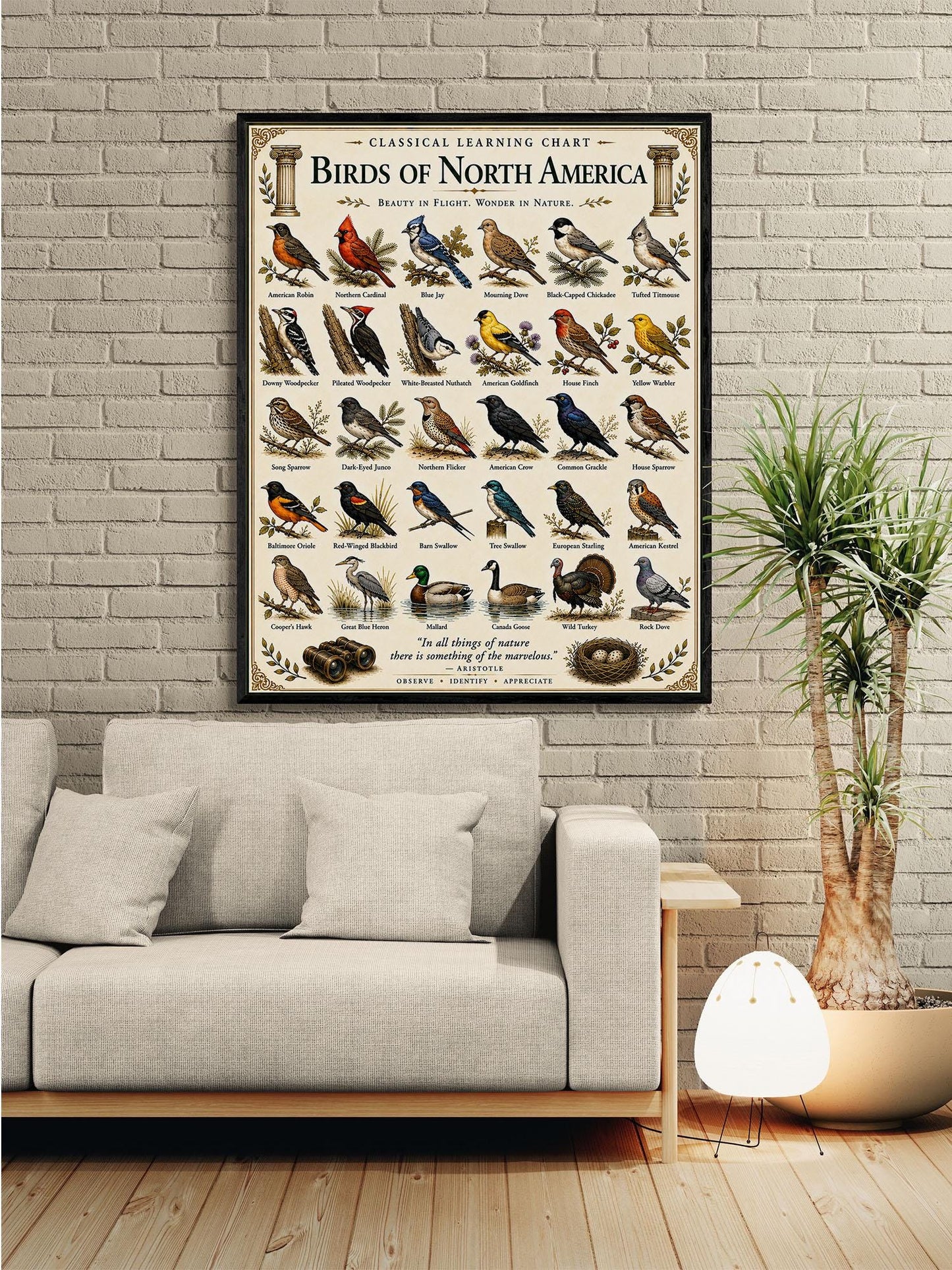Birds of North America Chart Wall Art Print, Classical Learning Poster, Teacher Classroom Reference, Homeschool, Science Birdwatching Decor