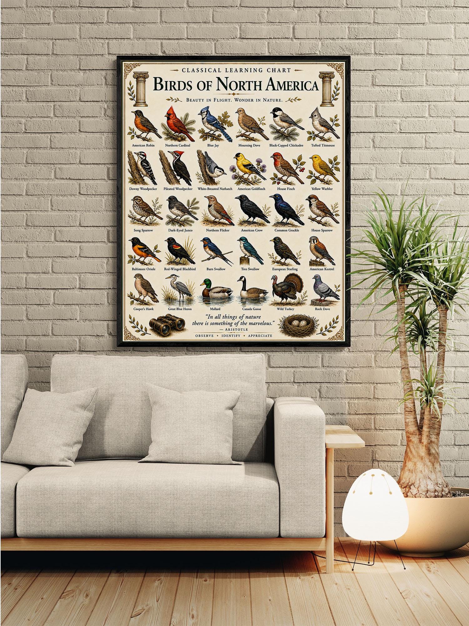 Birds of North America Chart Wall Art Print, Classical Learning Poster, Teacher Classroom Reference, Homeschool, Science Birdwatching Decor