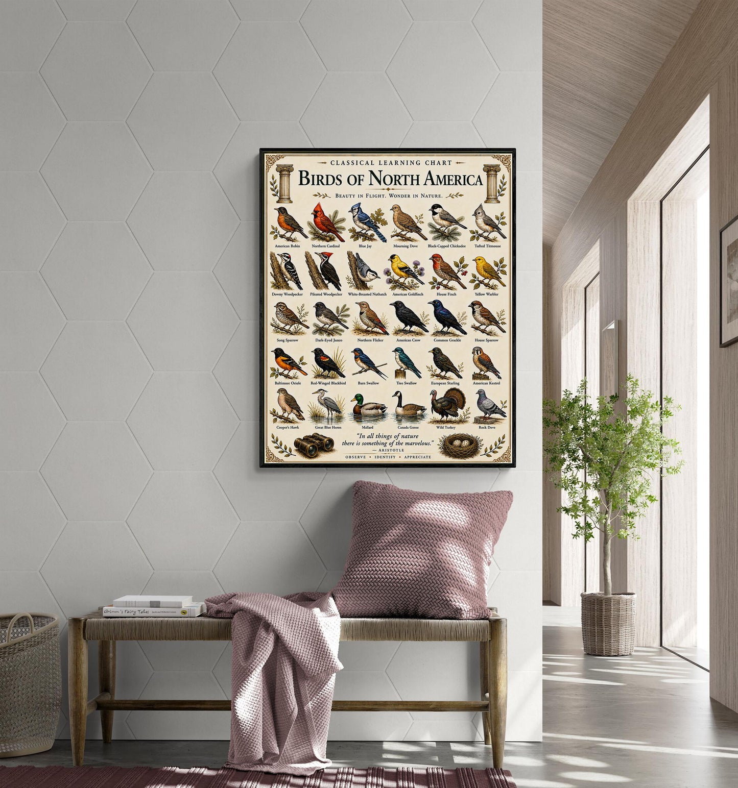 Birds of North America Chart Wall Art Print, Classical Learning Poster, Teacher Classroom Reference, Homeschool, Science Birdwatching Decor